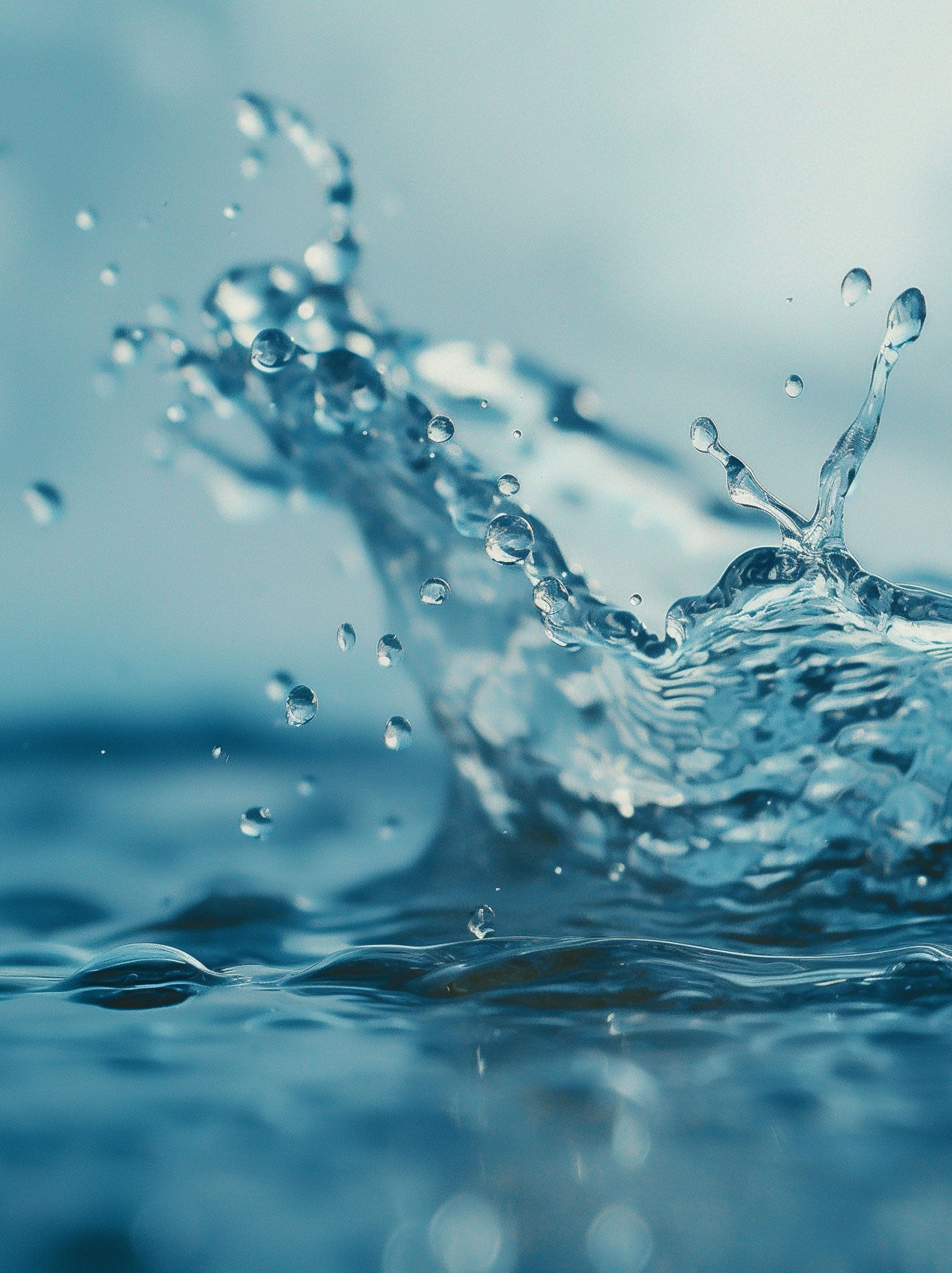 Full Equilibrium Bottle Set