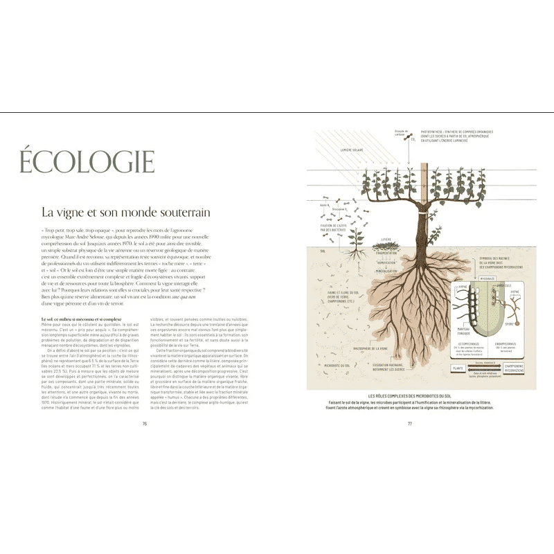 Book: A Thousand Vines, Thinking About the Wine of Tomorrow by