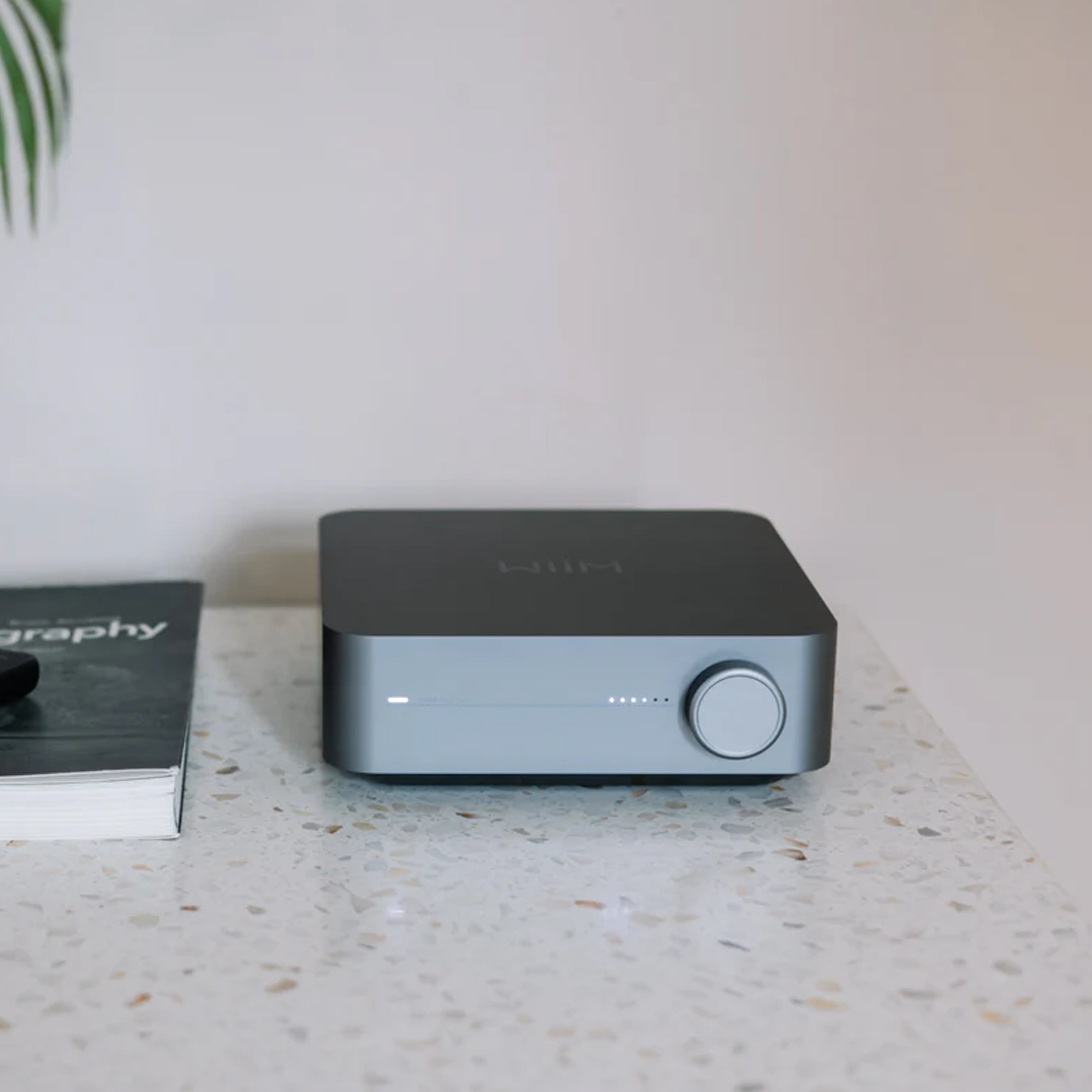 Wiim Amp Pro - Multiroom Streaming Integrated Amplifier – AV Shack