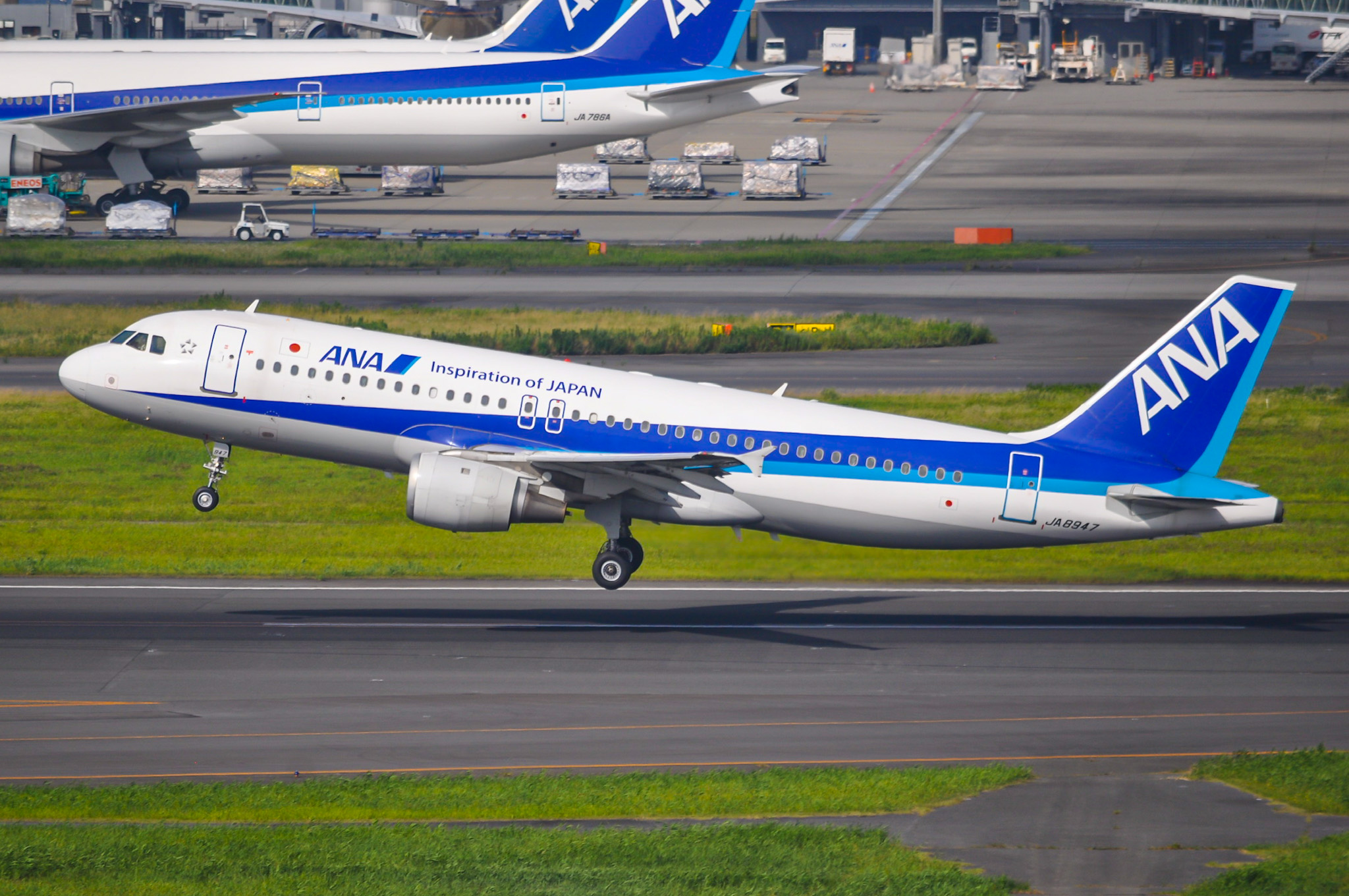 就航5周年！国際線機材のホープA320neoで飛ぶ「国内線」（ANA723便