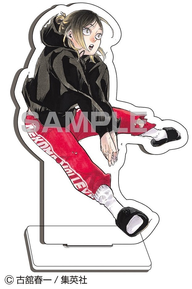 Books Kinokuniya: ハイキュー！！10thクロニクル グッズ付き同梱版