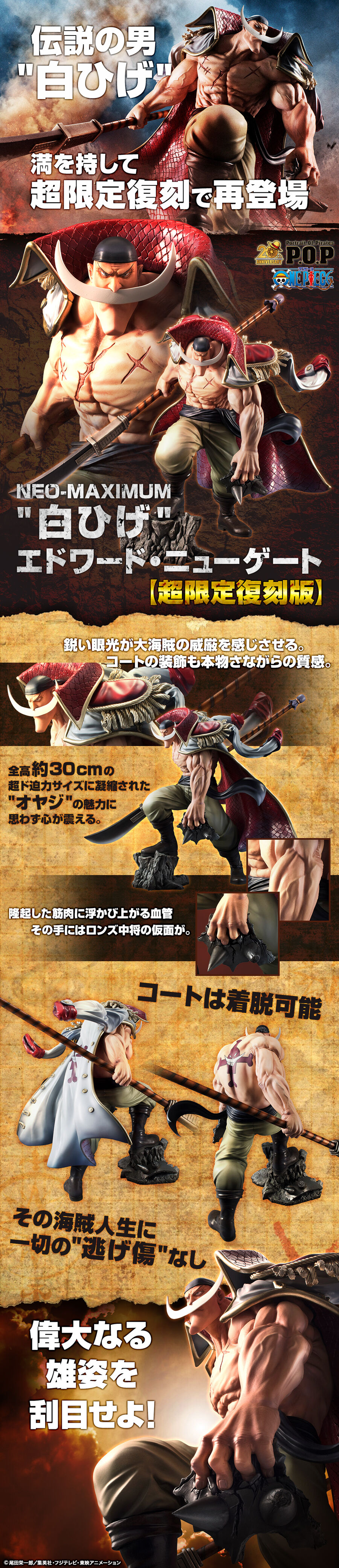 Portrait.Of.Pirates ワンピース “NEO-MAXIMUM” “白ひげ” エドワード