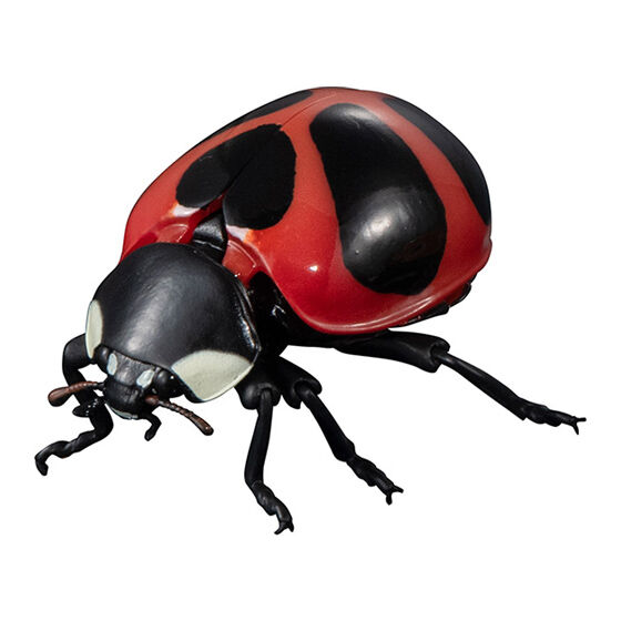 いきもの大図鑑アドバンス テントウムシ02｜ガシャポンオフィシャルサイト