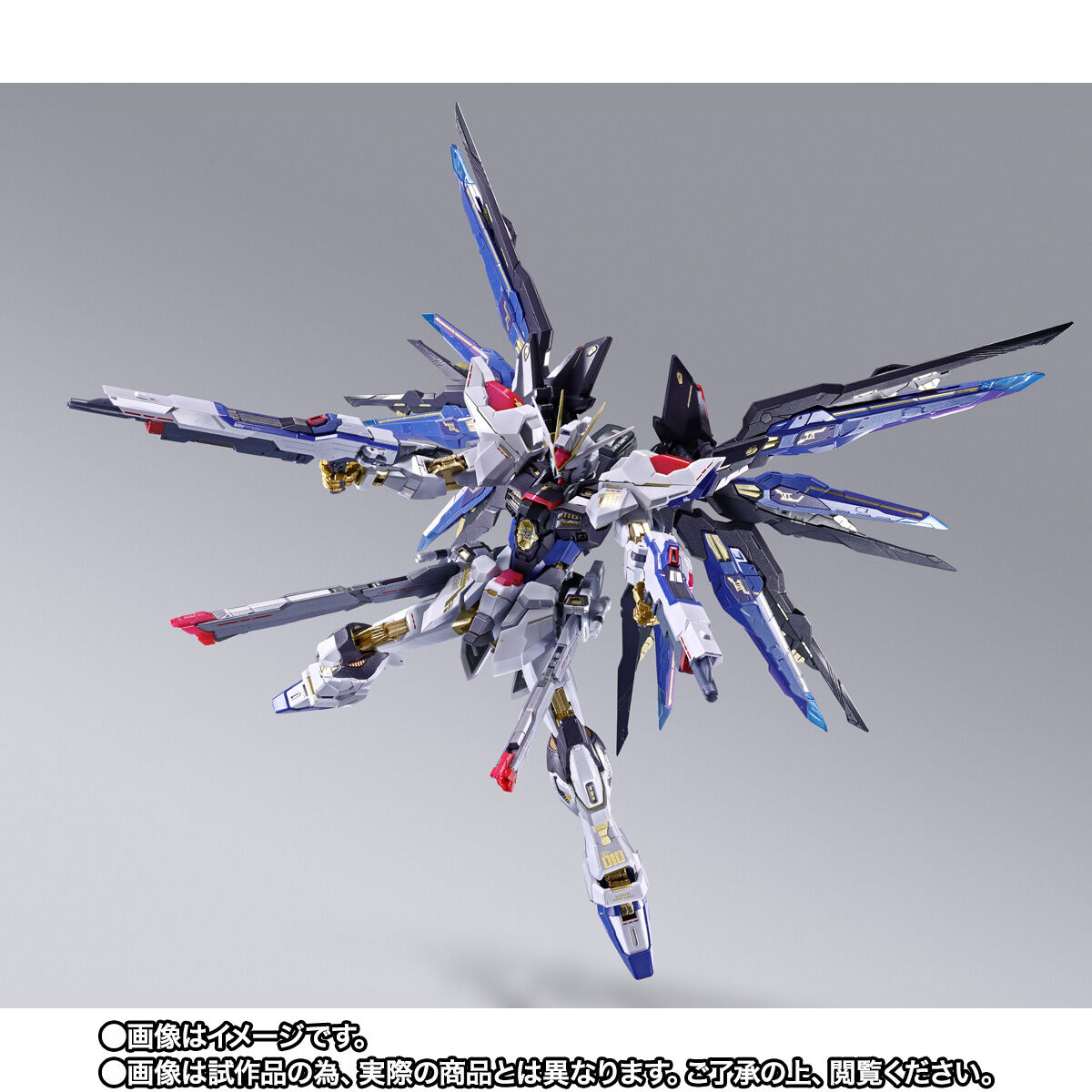 事後CTM2次抽選販売】METAL BUILD ストライクフリーダムガンダム