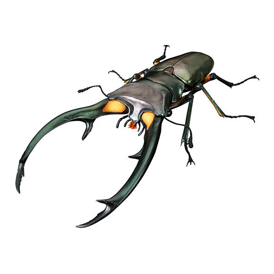 いきもの大図鑑アドバンス クワガタ02｜ガシャポンオフィシャルサイト