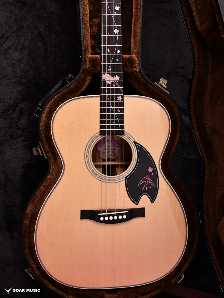 HF-SAKURA'25/ATB HZ-GR Headway ヘッドウェイ アコースティックギター
