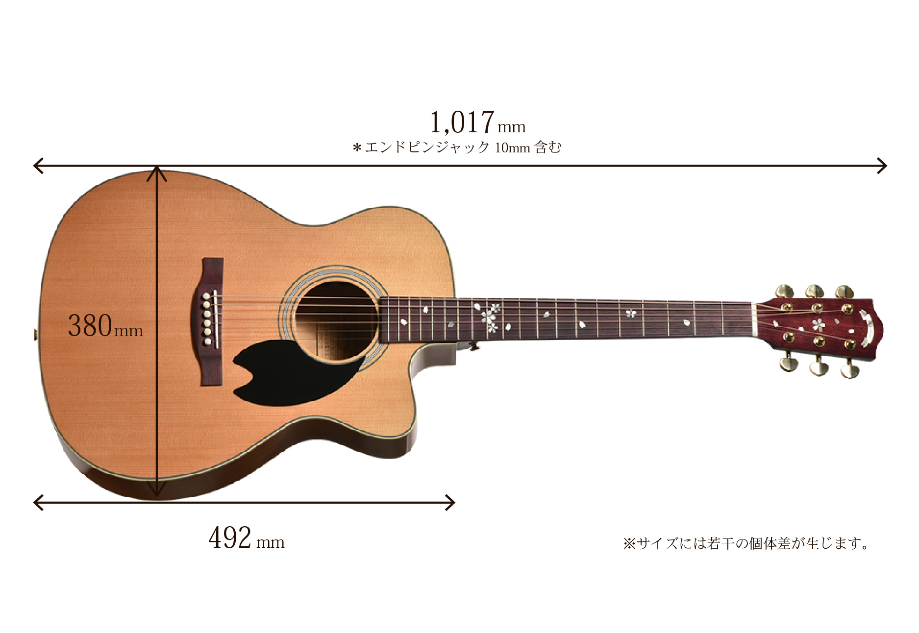 HOC-SAKURA/JS SBL-GRD (Headway / ヘッドウェイ アコースティックギター