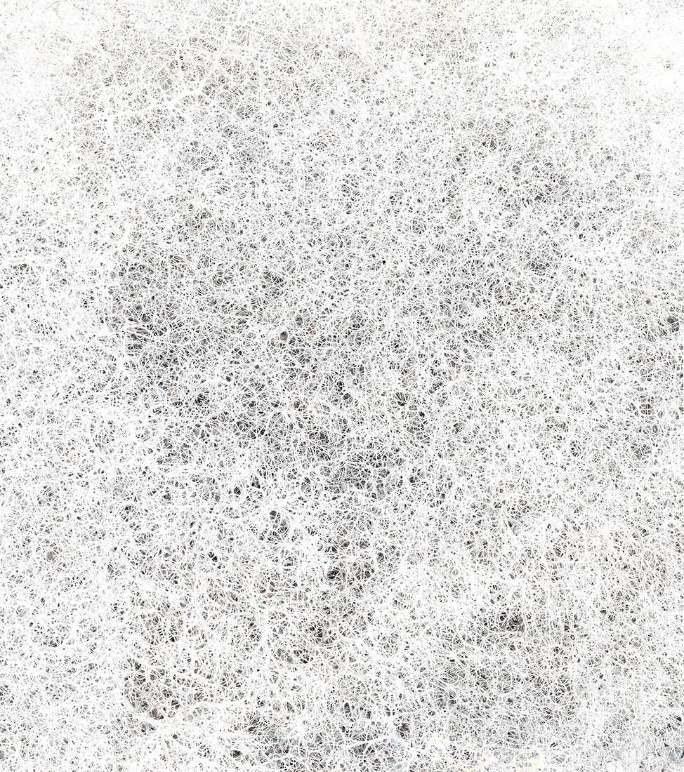 Andreas Gefeller - German Photographic Academy