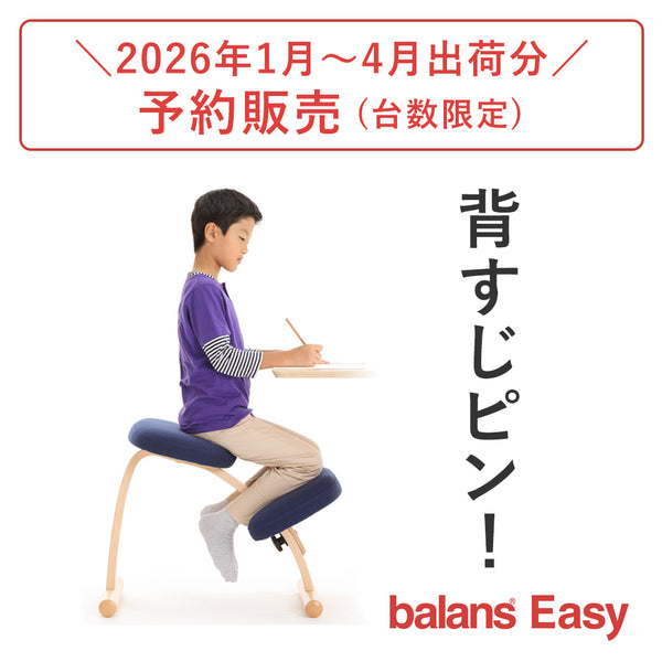 商品一覧 – バランスチェアのbalans lab (バランスラボ) 公式サイト