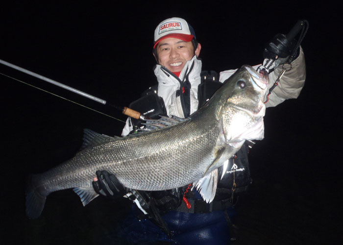 SAURUS | ザウルス