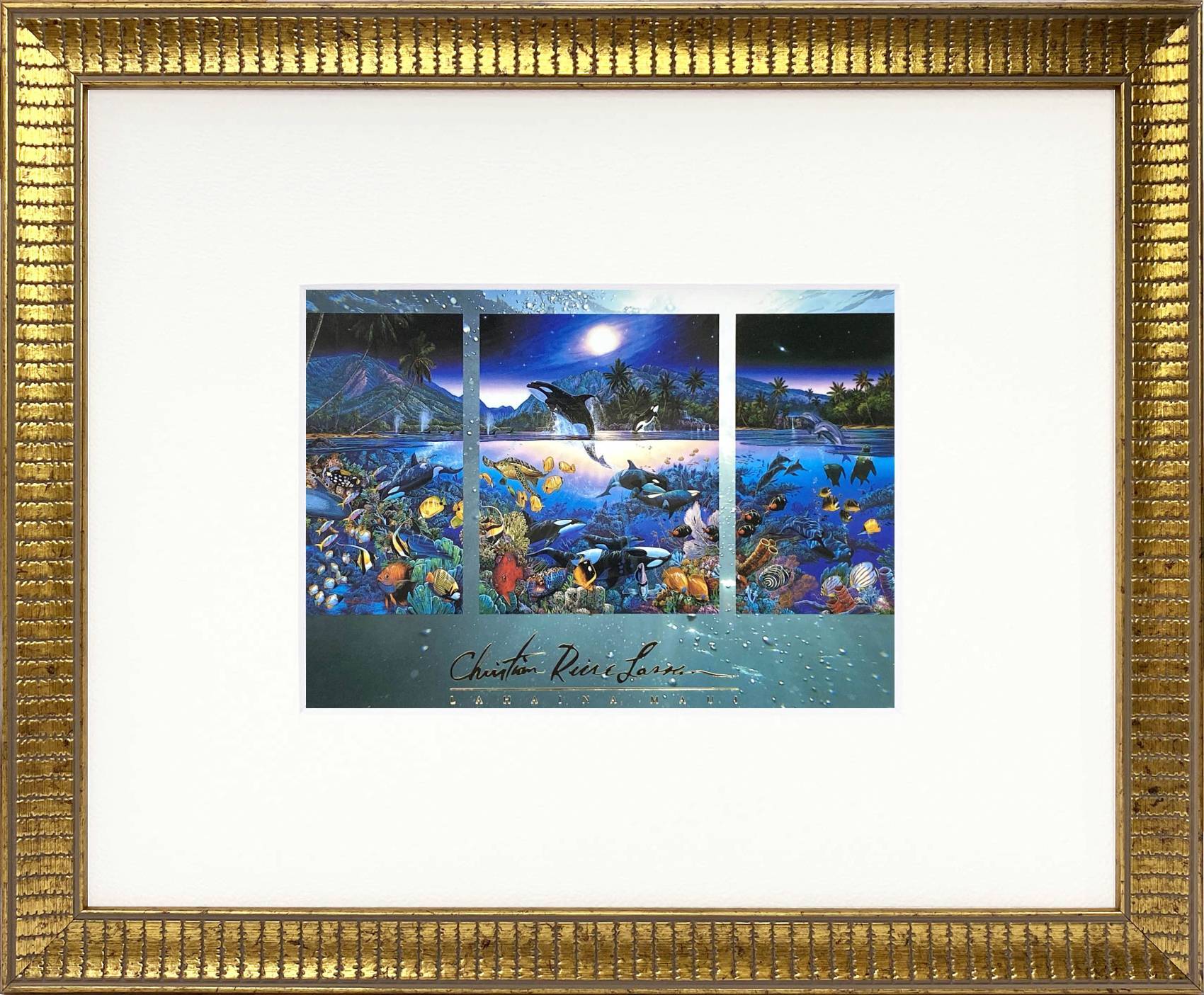 img_7999062becfb9874287ec3e993