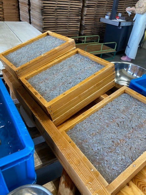 お試し3種 ドラマに映りました！しらすチップス2P・燻製しらす