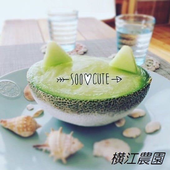 d9fb651b4b47648fa38862d5e1ce25