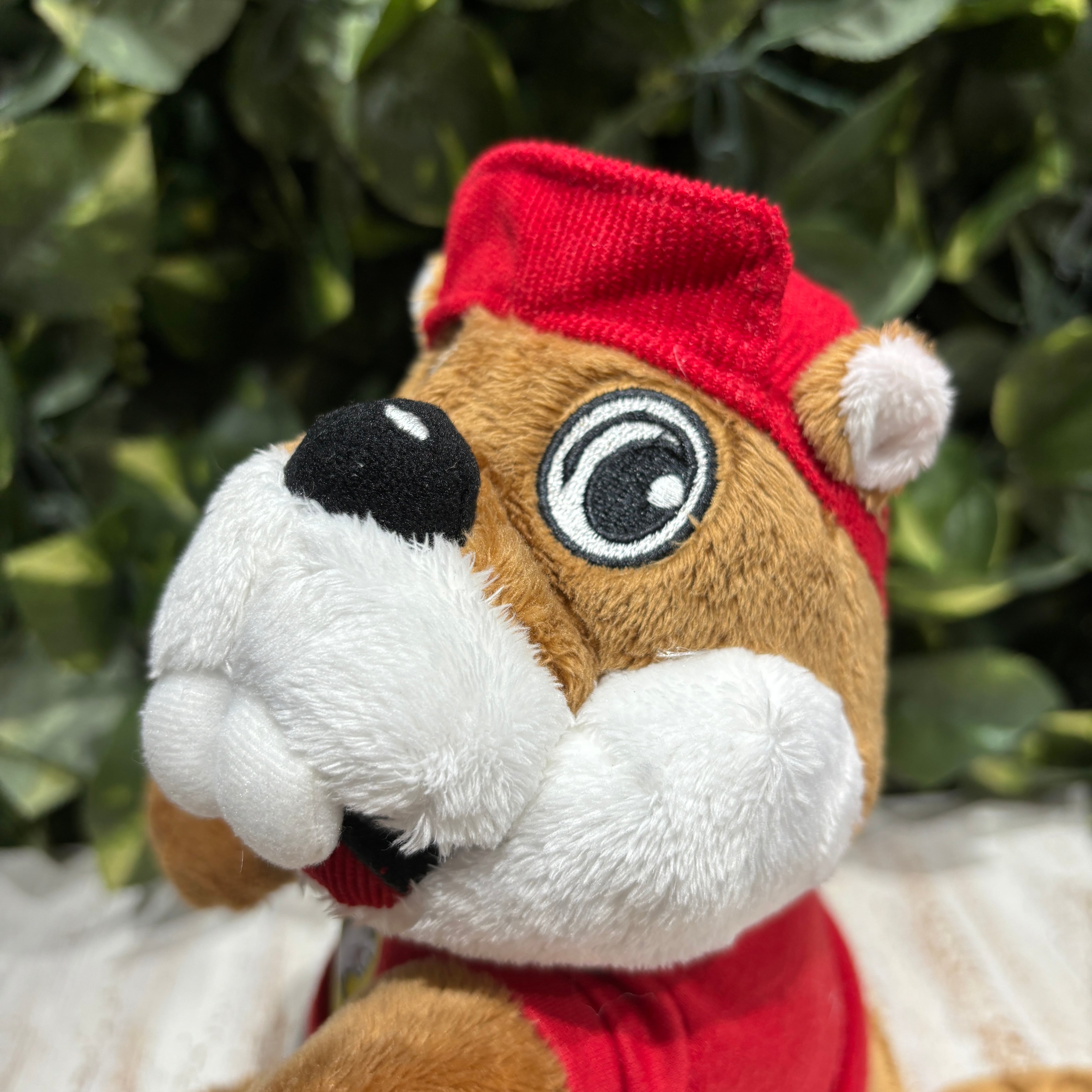 ⭐︎バッキーズくん⭐︎ビーバー⭐︎ガソリンスタンドマスコット