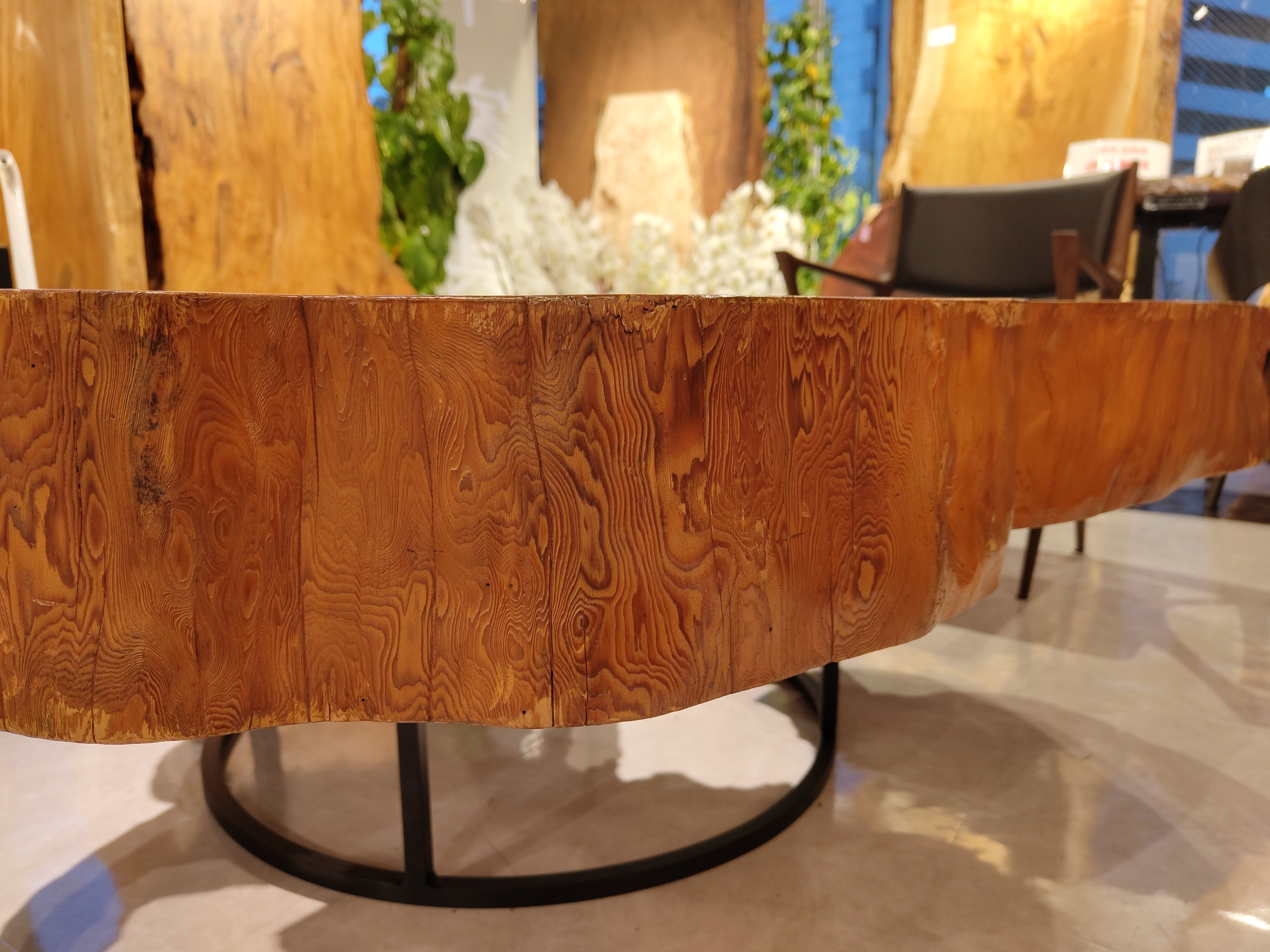 Premium】屋久杉（ヤクスギ）_1440×1490×145_青山店_テーブル天板