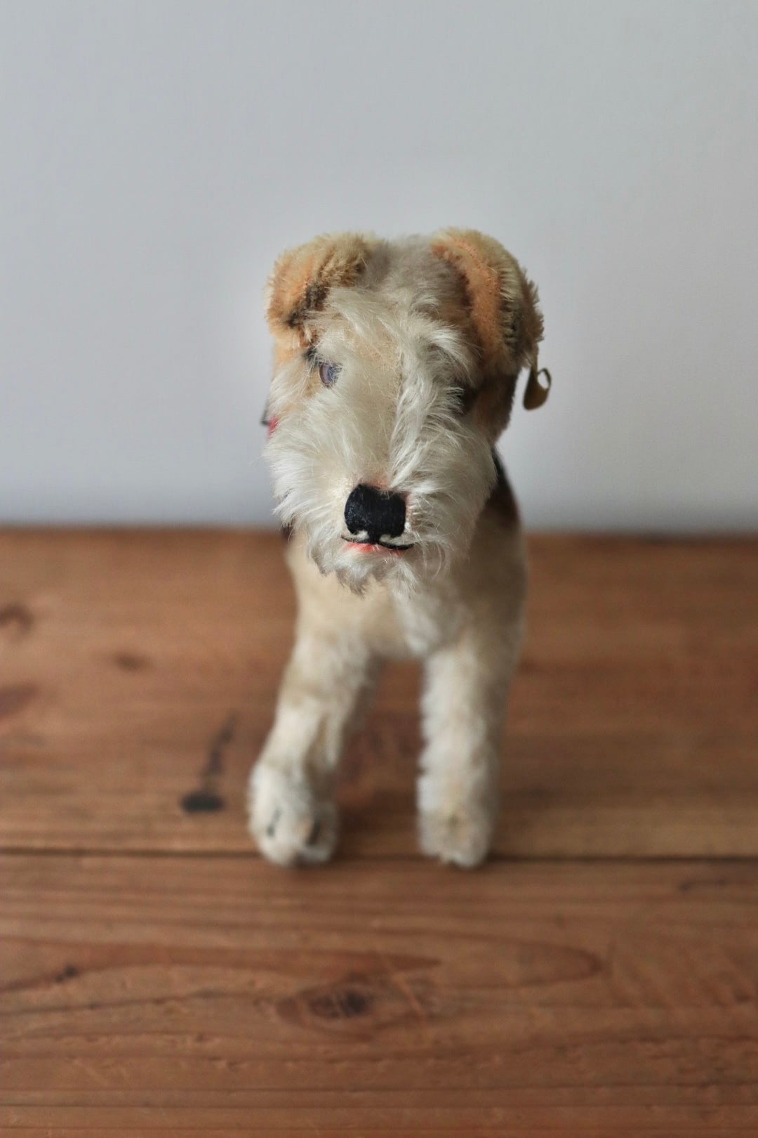 アンティーク シュタイフ 犬 ワイヤーフォックステリア Foxy 17