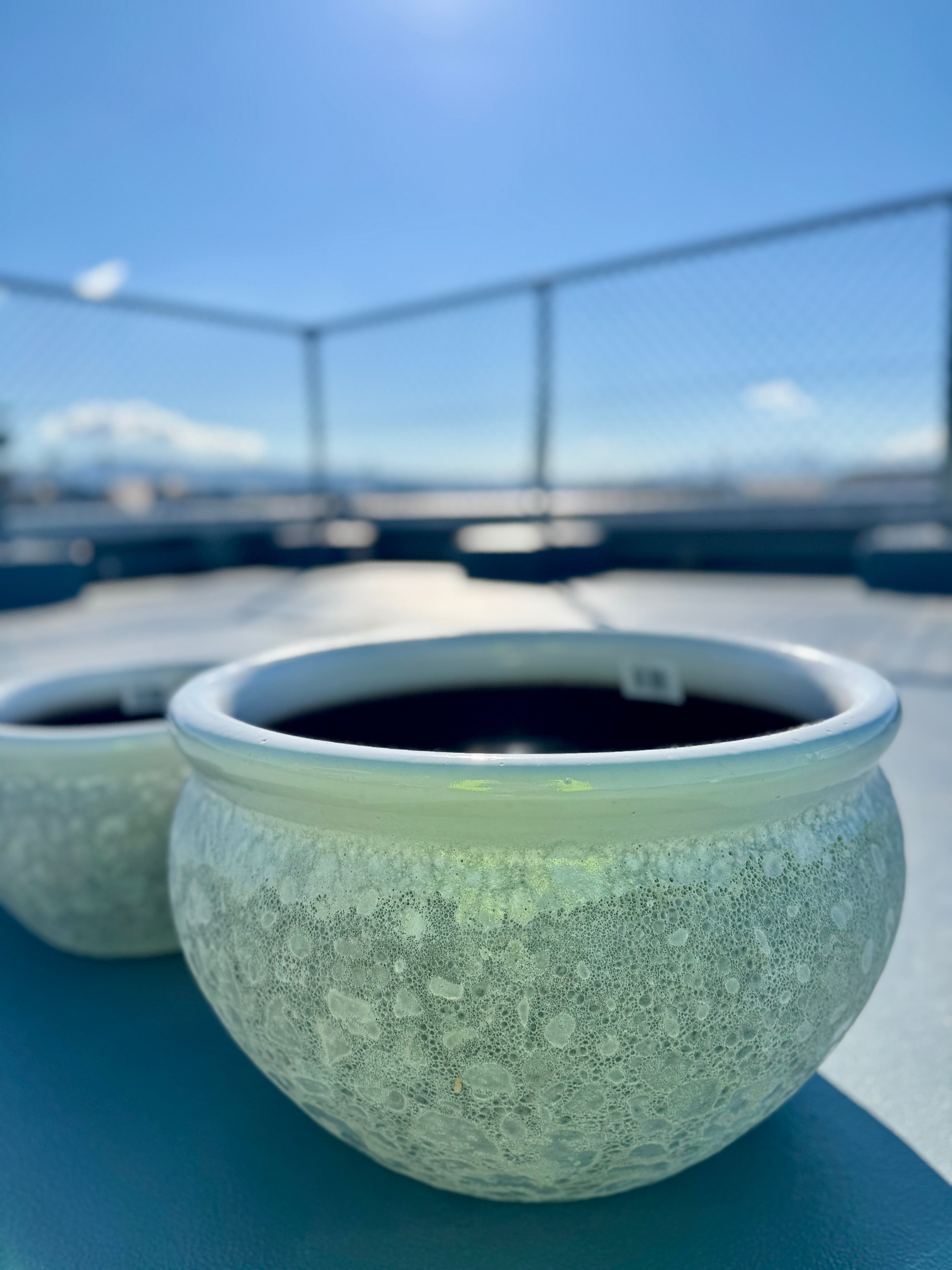 小サイズホワイト【睡蓮鉢】オリジナル睡蓮鉢！外側柄つき！内側黒塗装