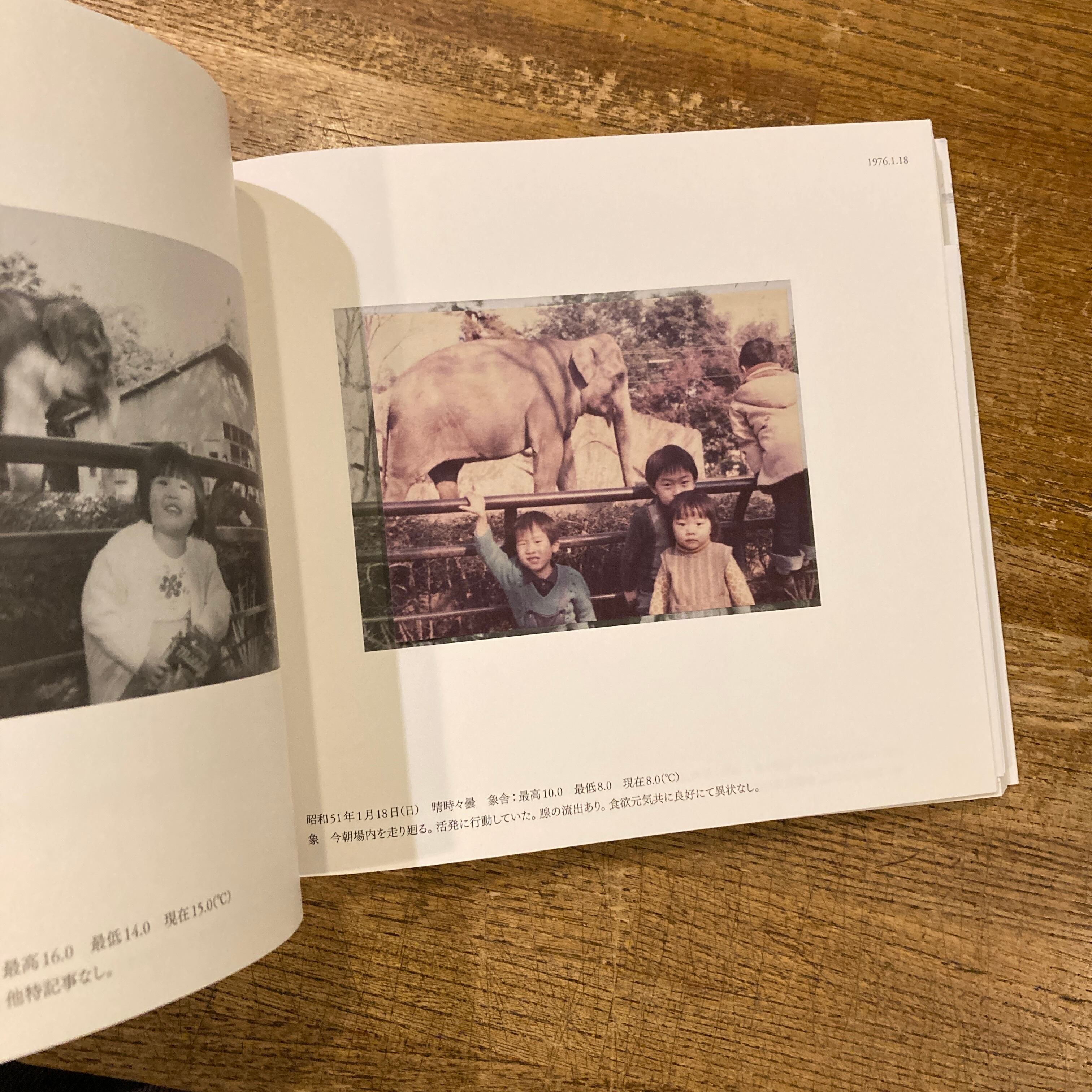 はな子のいる風景 イメージを（ひっ）くりかえす | 百年