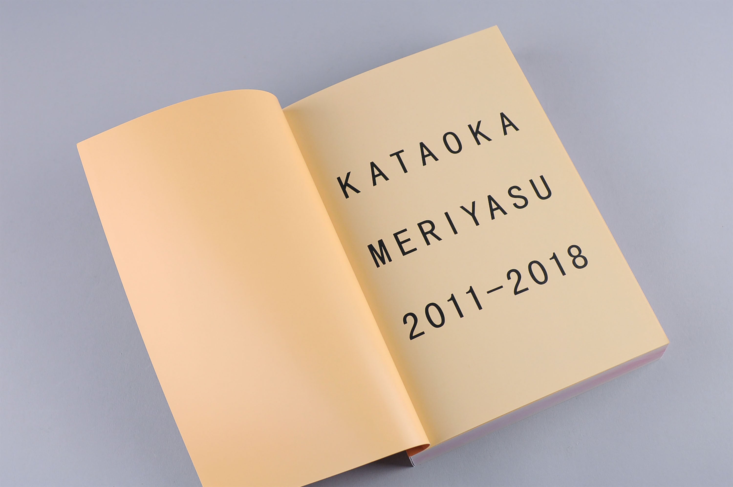 KATAOKA MERIYASU 2011-2018