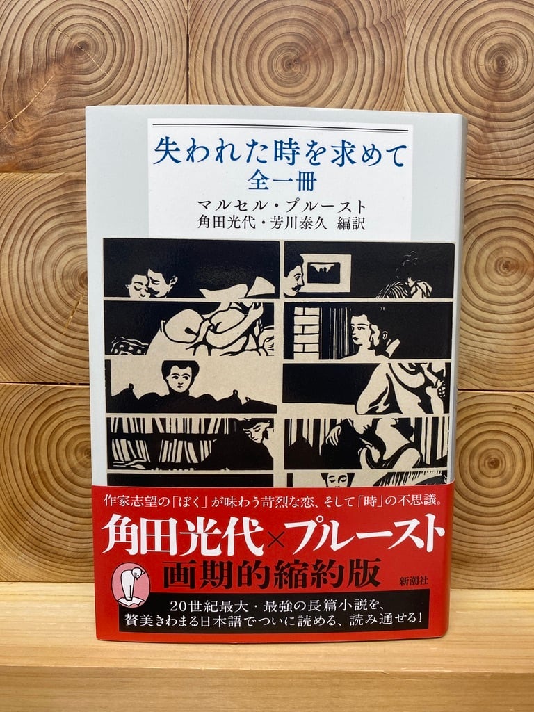 失われた時を求めて 全一冊 | 冒険研究所書店