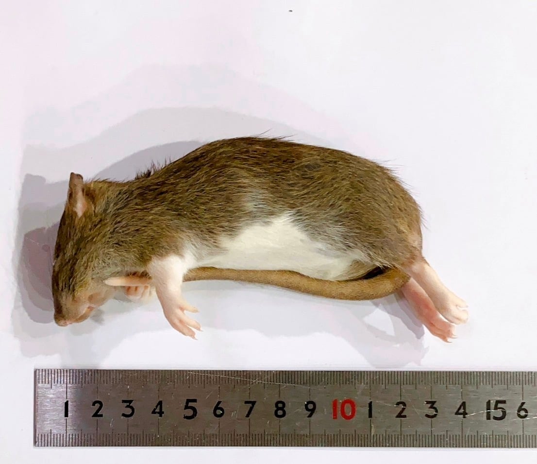 4e87d67f25203d2a93600a05ecae81