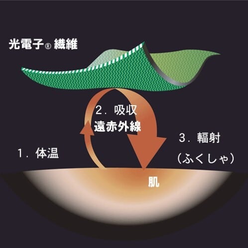 限定商品】スパッツサポーター5分丈 Mサイズ | Bellbeshop