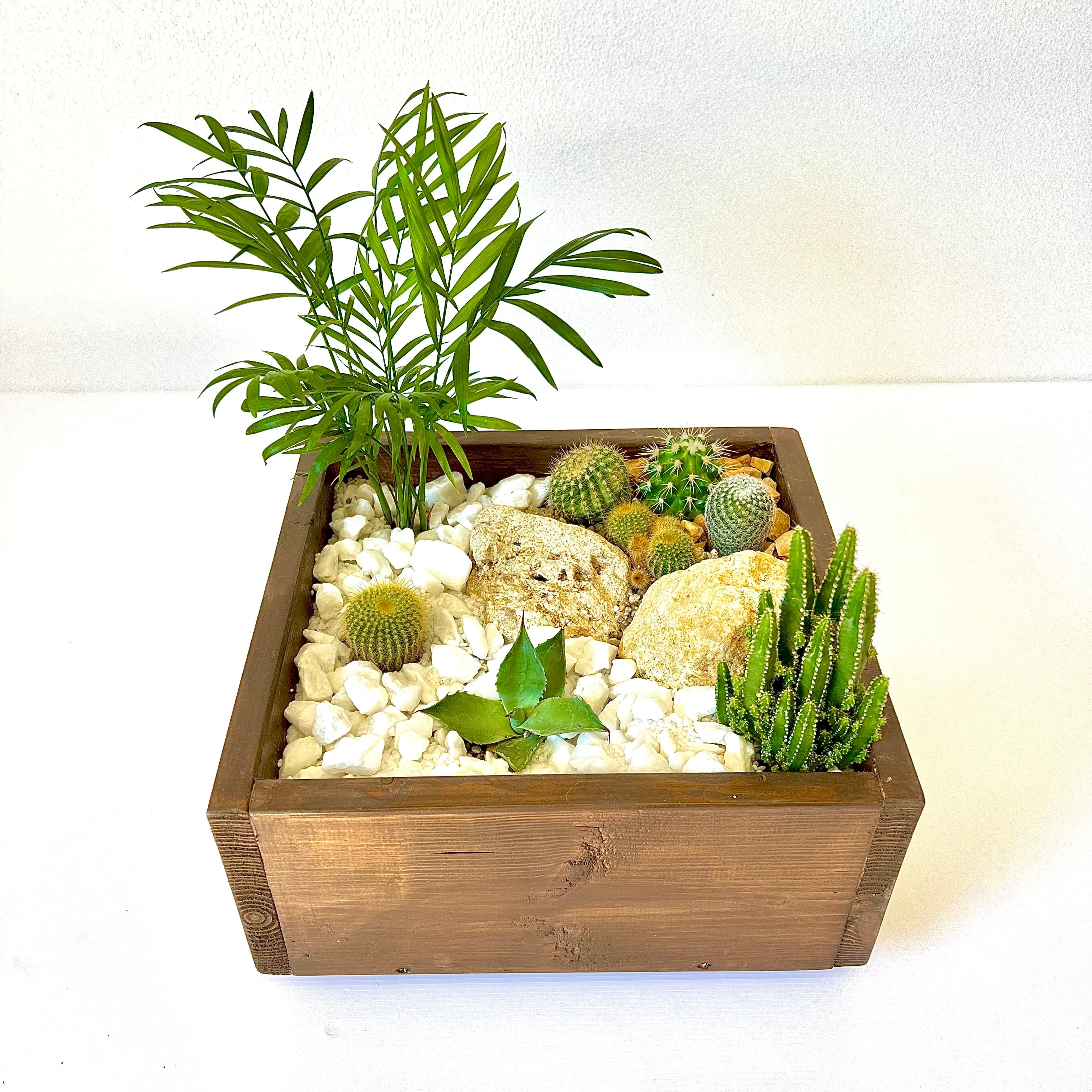 ミニドライガーデン | CAgarden