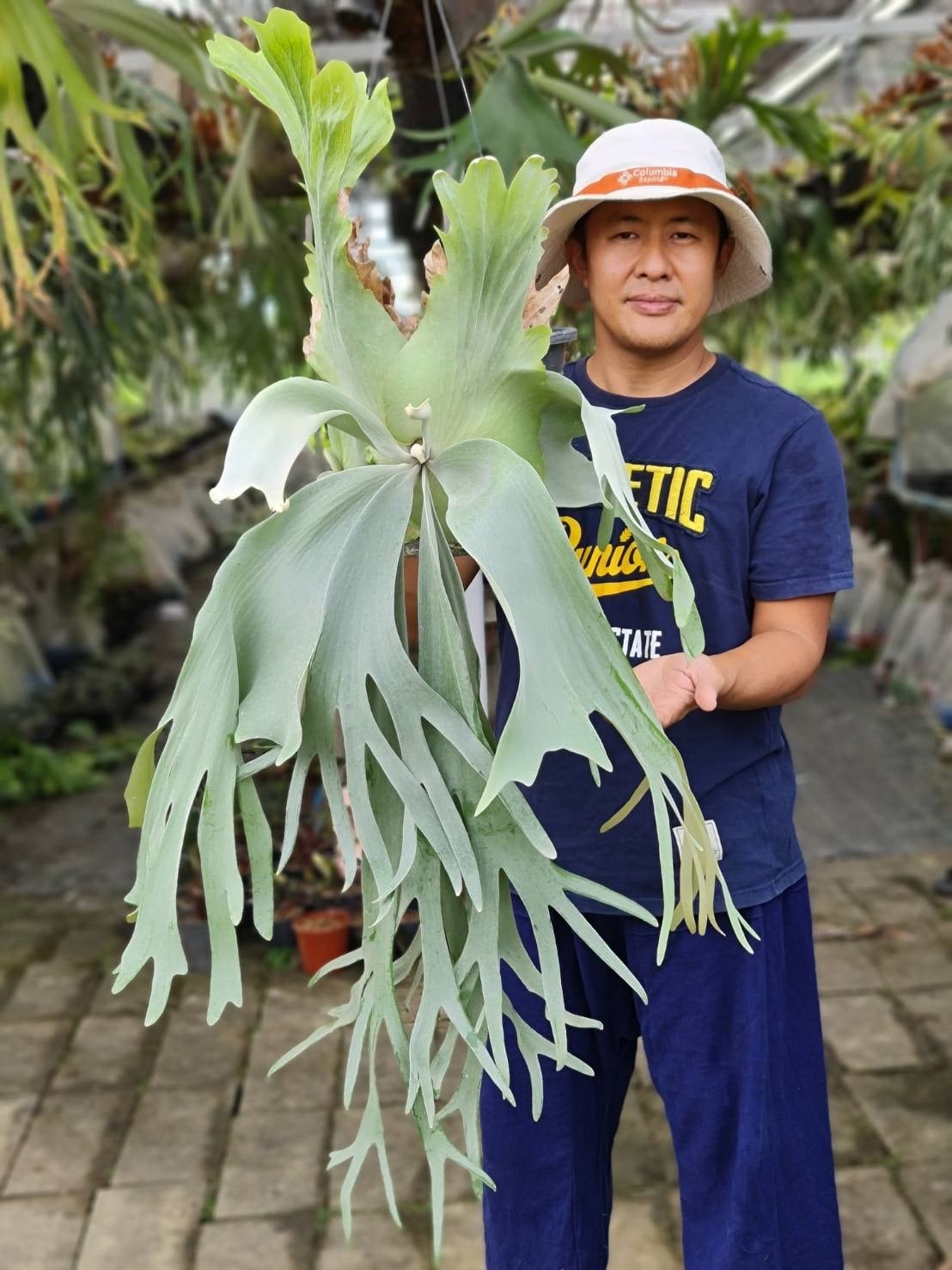 507cda86b7d39880b0d1e973f8870c