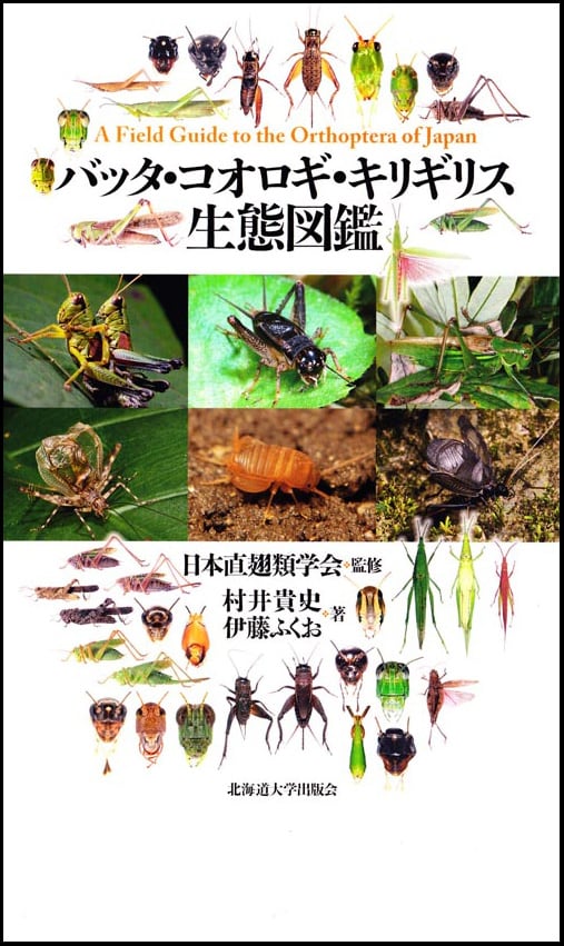 バッタ・コオロギ・キリギリス生態図鑑 | 北海道大学出版会