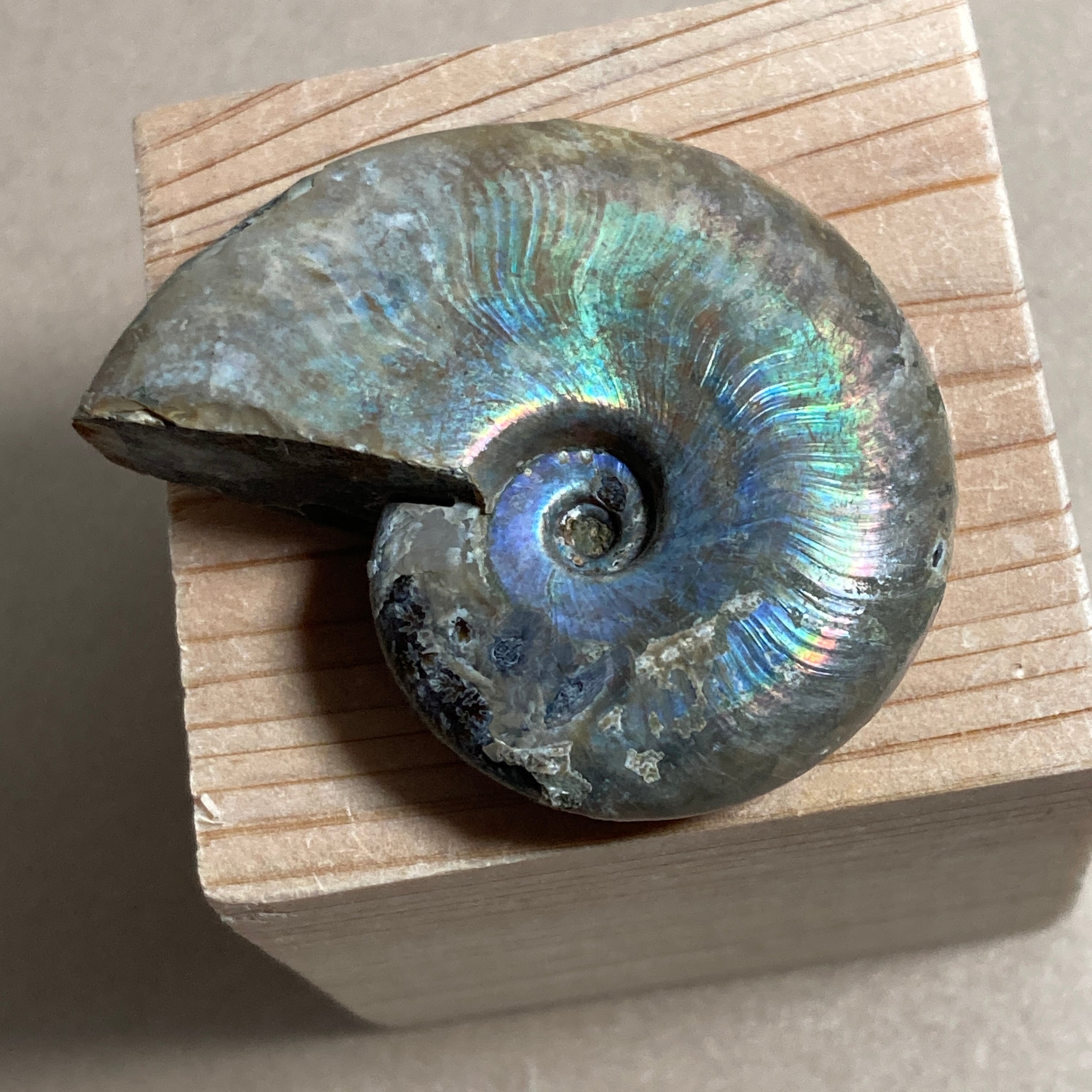 50b6fbc2d838790a0013ebdd88b735