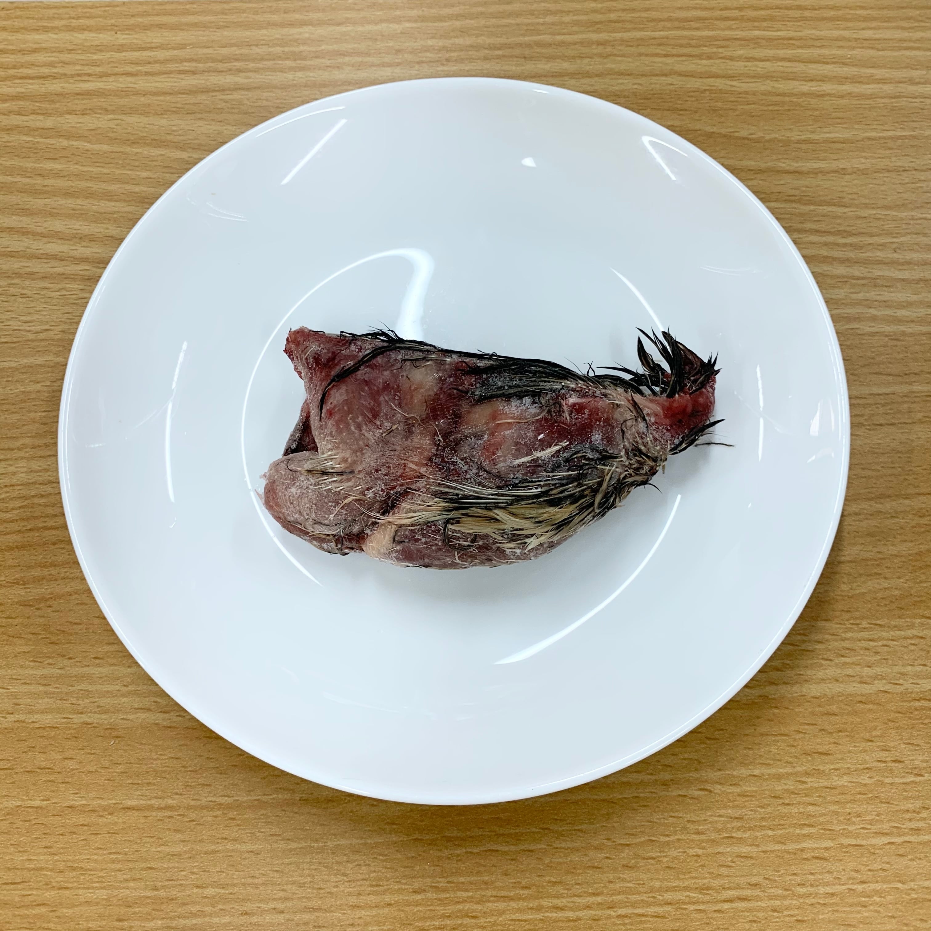 56c757121a106c472cb0c3551d1e8c