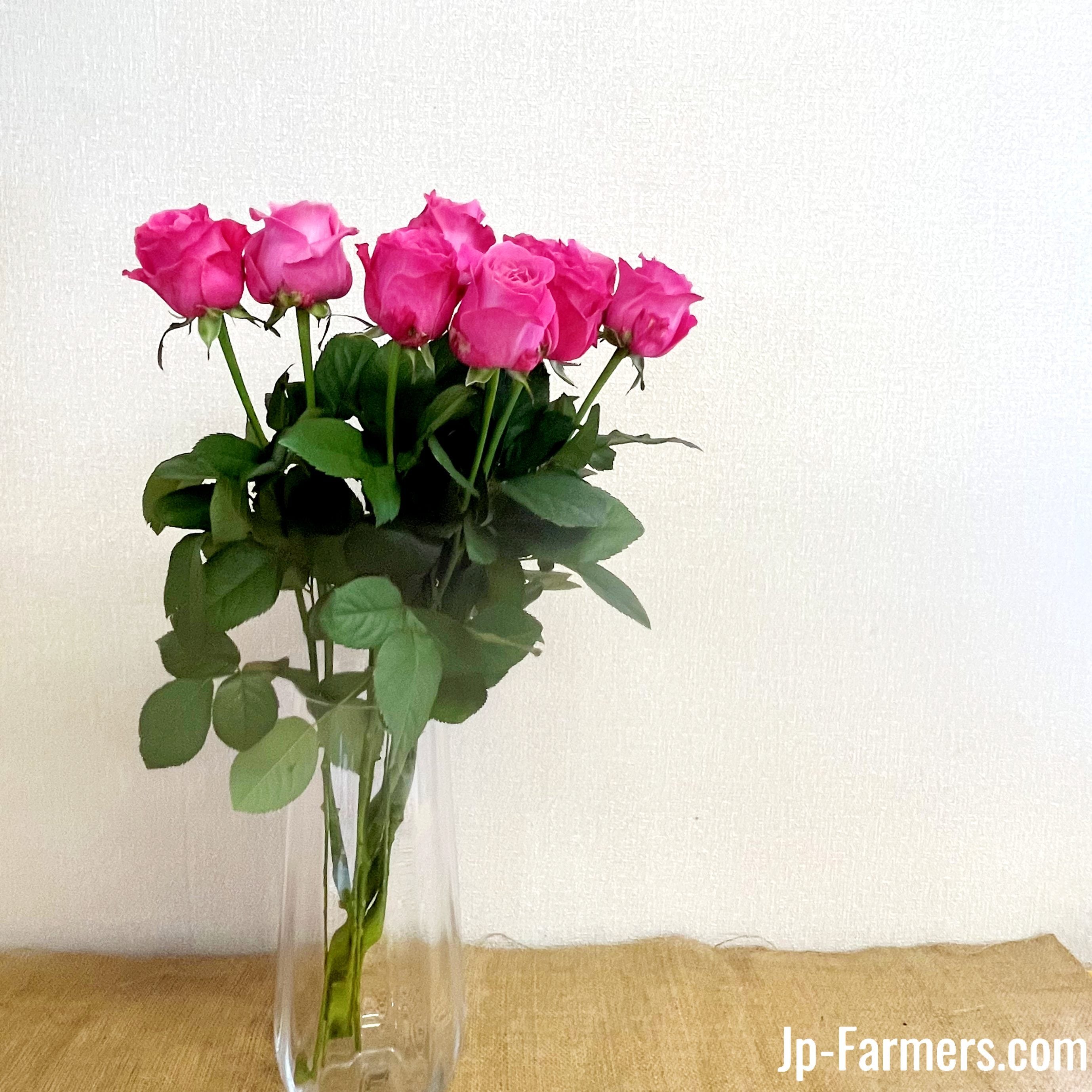 神田ばら園 10本 ☆バラ品種名： オール4ラブ | 新鮮お花問屋 Jp