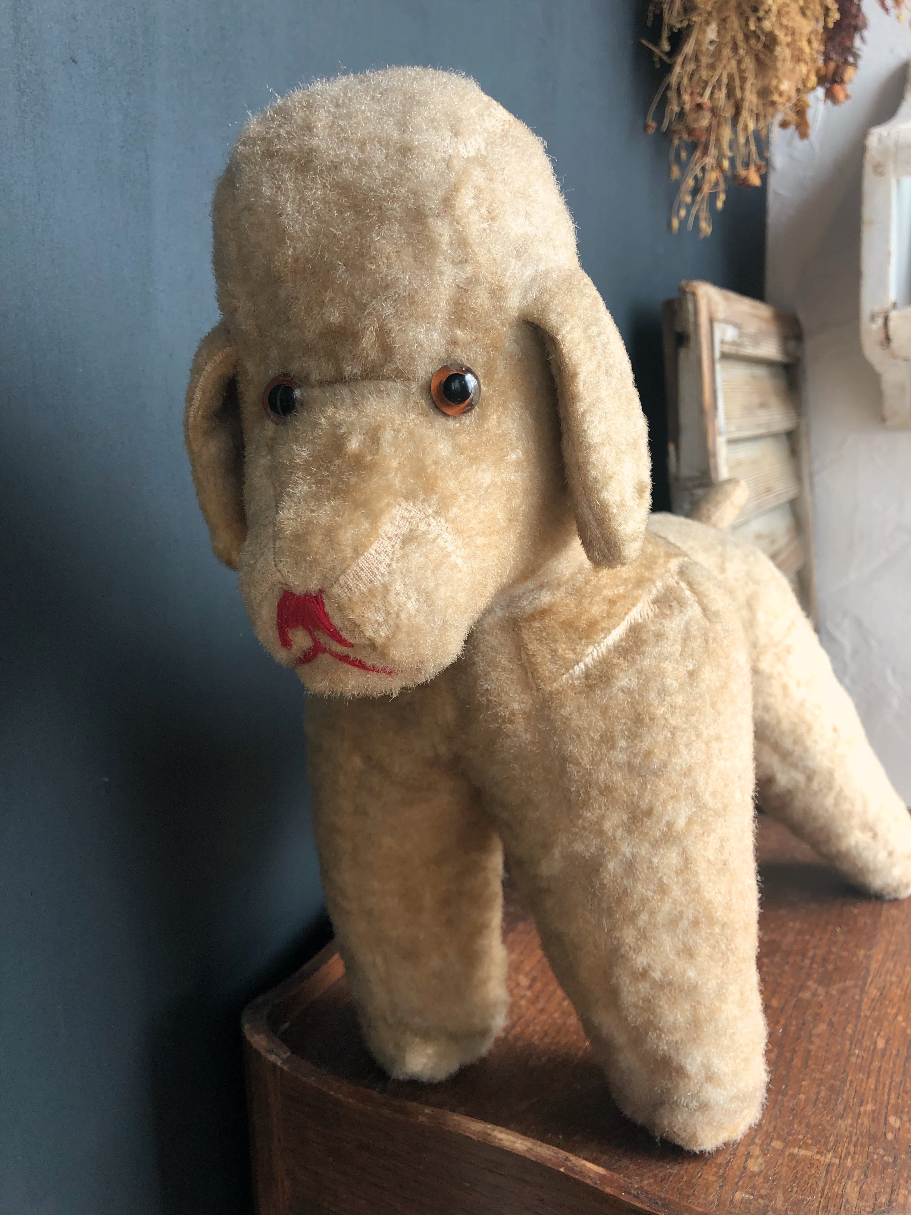 フランスアンティーク プードル 犬ぬいぐるみ ブラウン台形フェイス