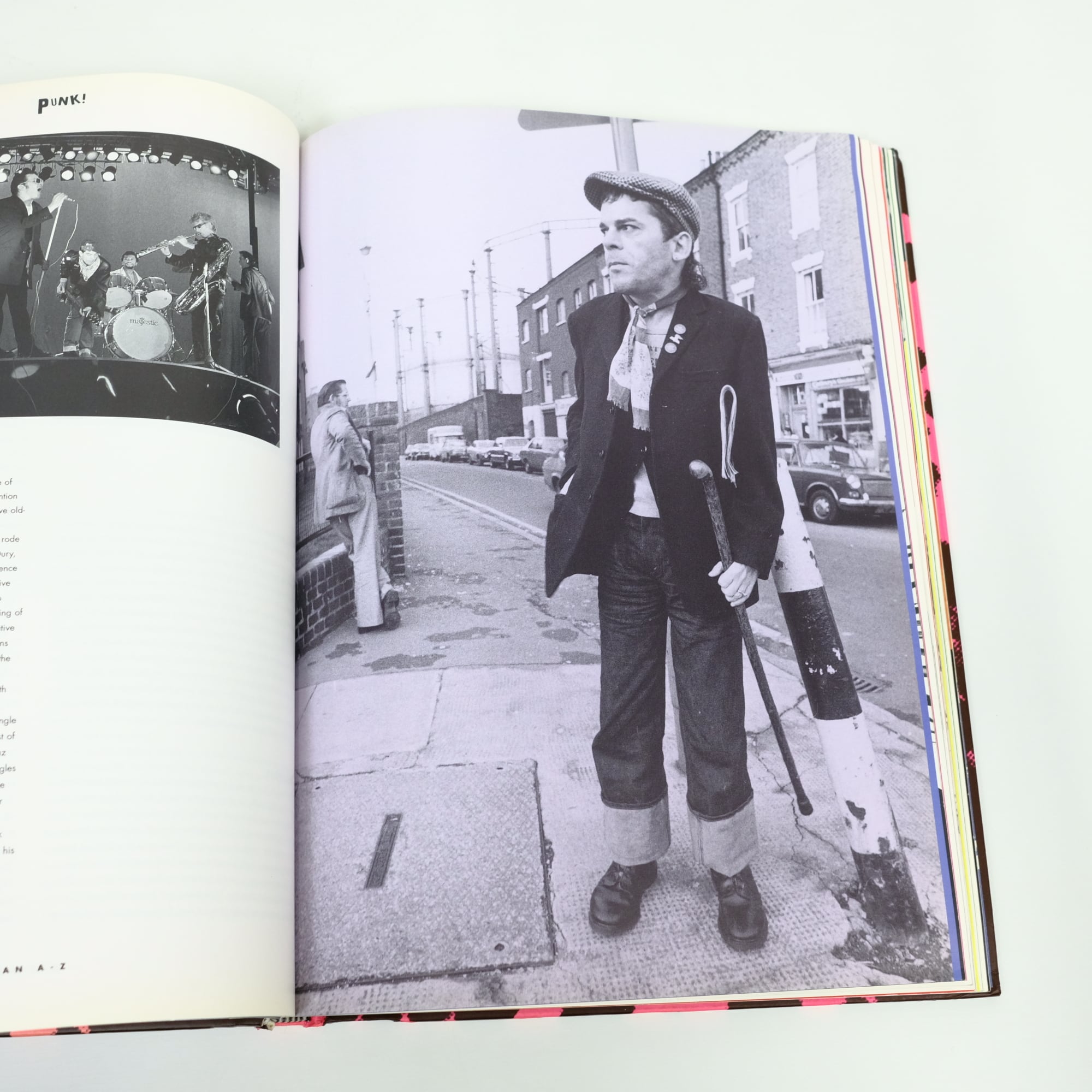 PUNK AN A-Z BARRY LAZELL パンク！ 洋書 写真集 | artbookano
