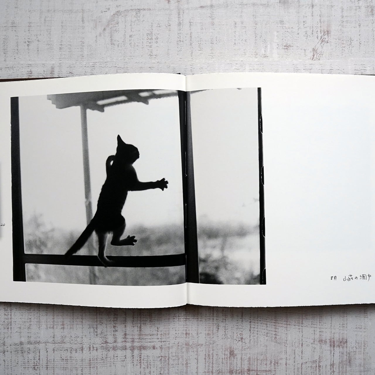 afterword 深瀬昌久 | タイムカプセル