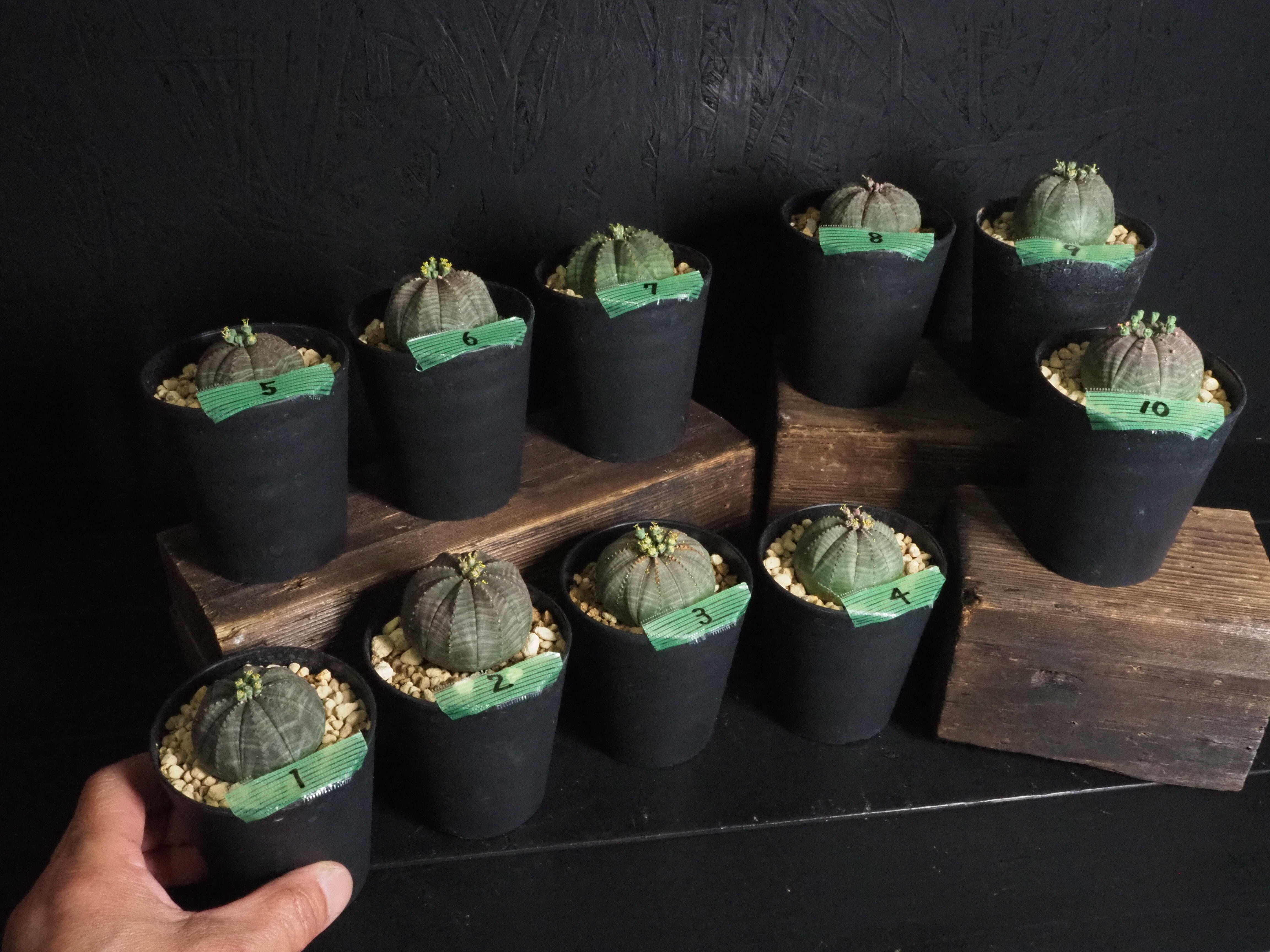 5e11fffcf2ac3fce0364676378a210