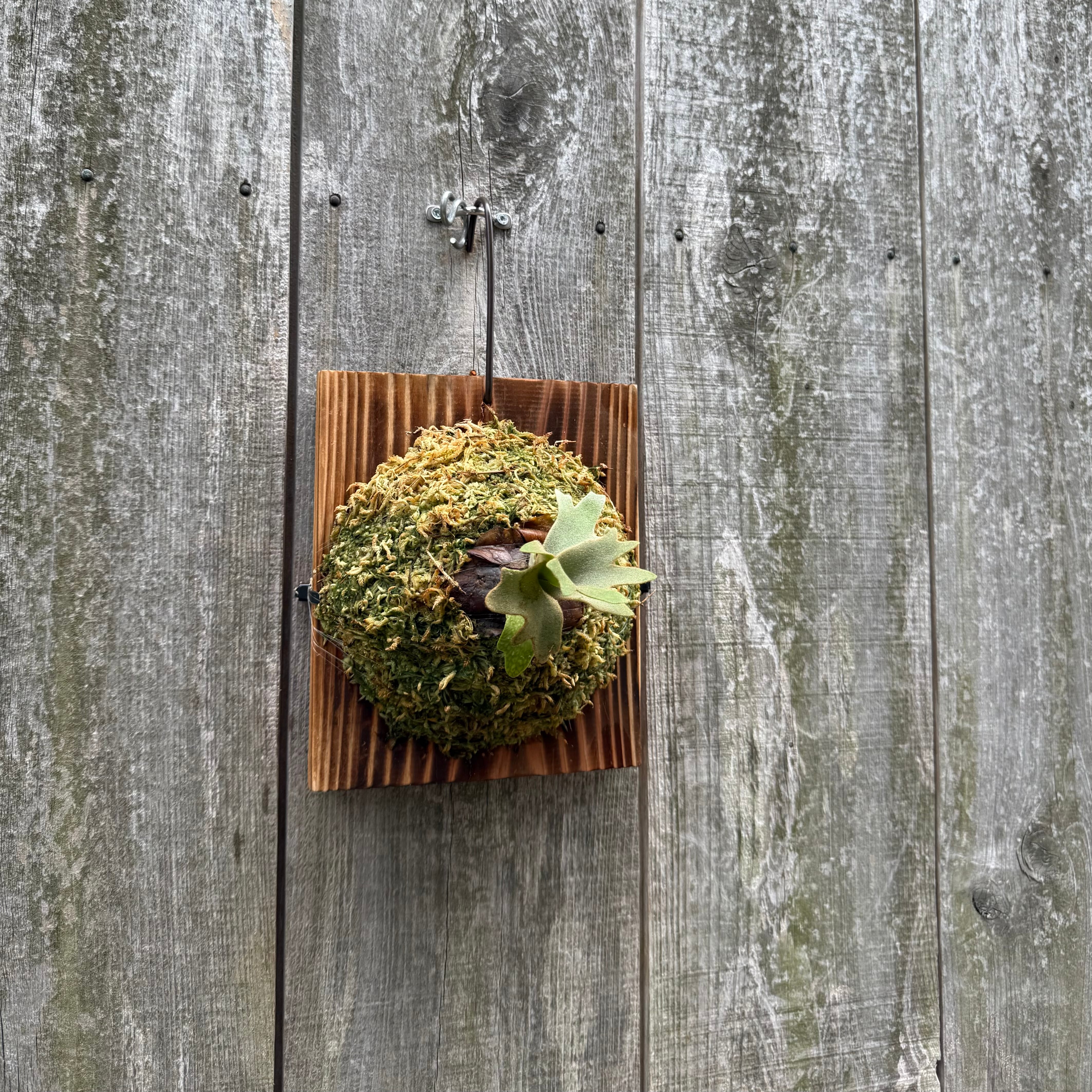 606910e4fce25e378996c4dea3afaa