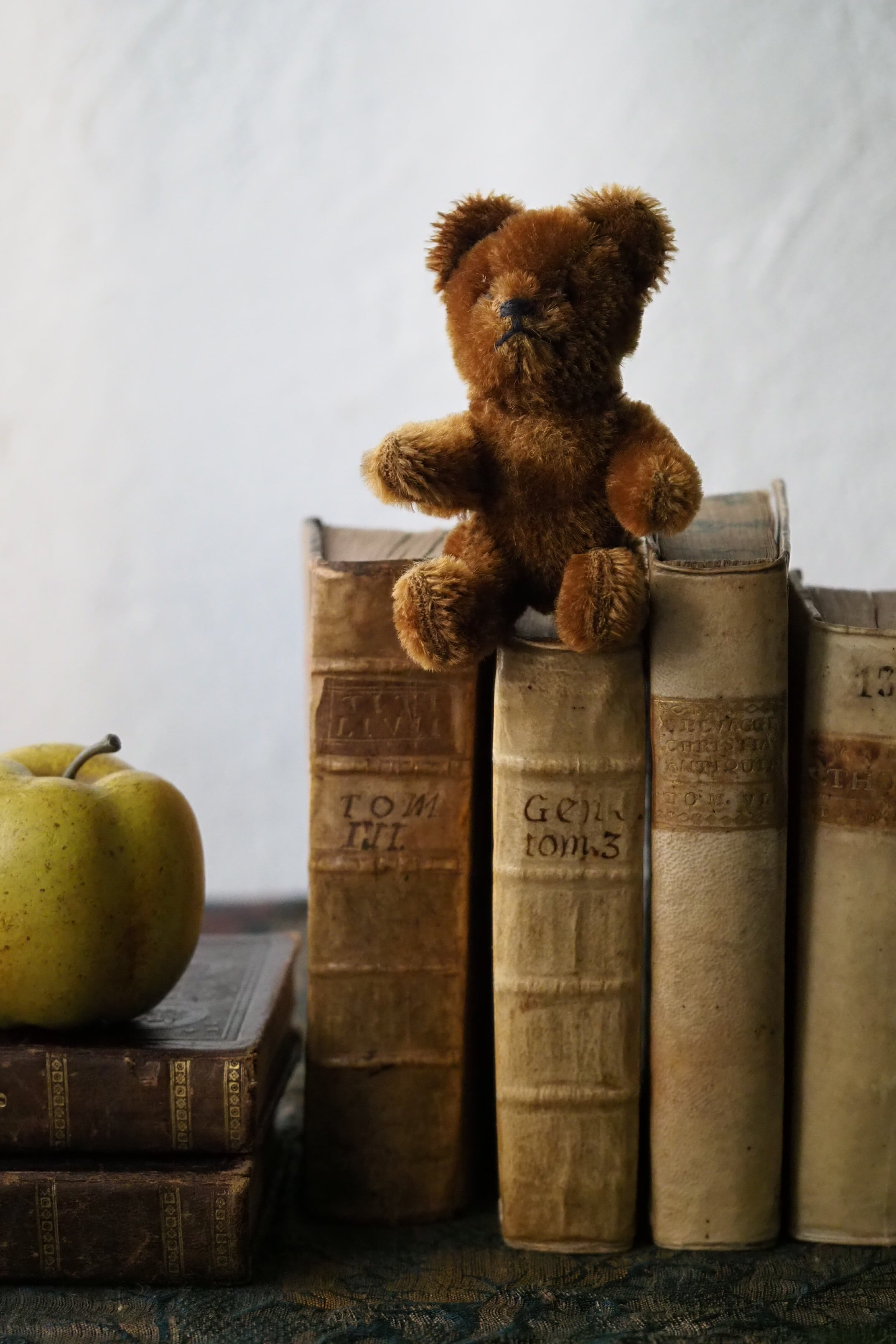 コロボックルくまちゃん-vintage teddy bear | アンティーク