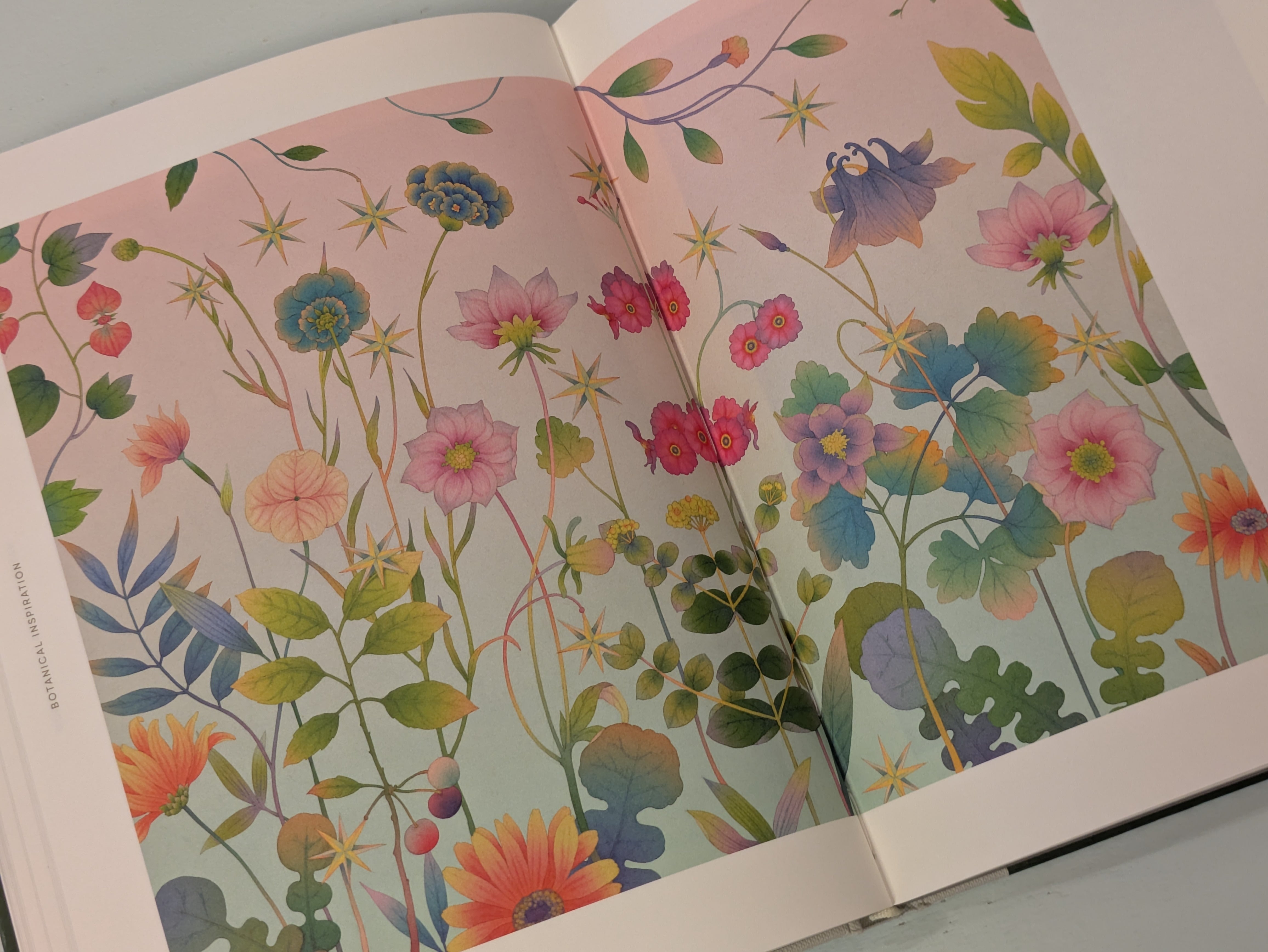 Botanical Inspiration : Nature in Art and Illustration