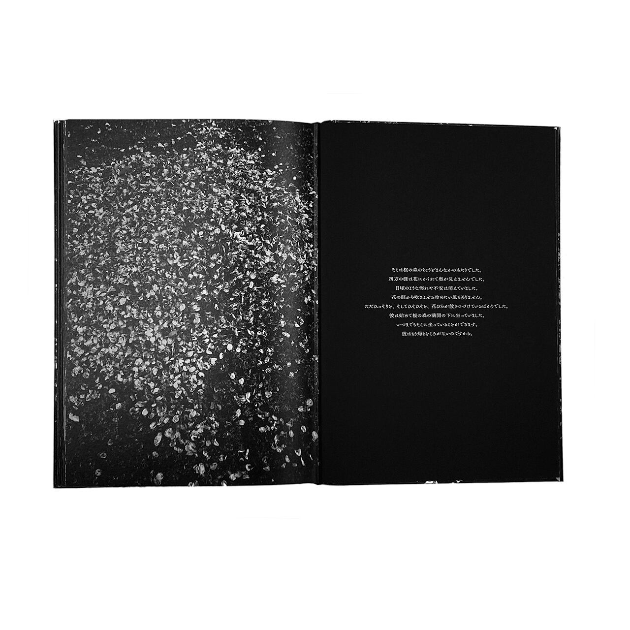 646349336d57b3fde604a4180022df