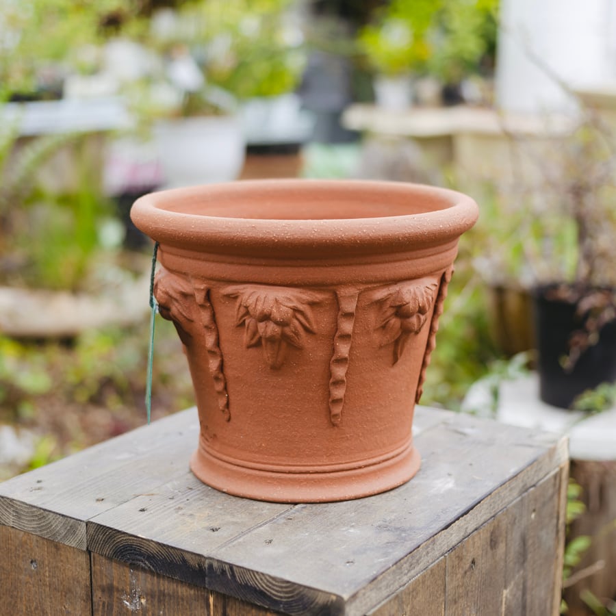 ウィッチフォード Icicle Pot 7号鉢相当 Whichford ガーデニング 園芸