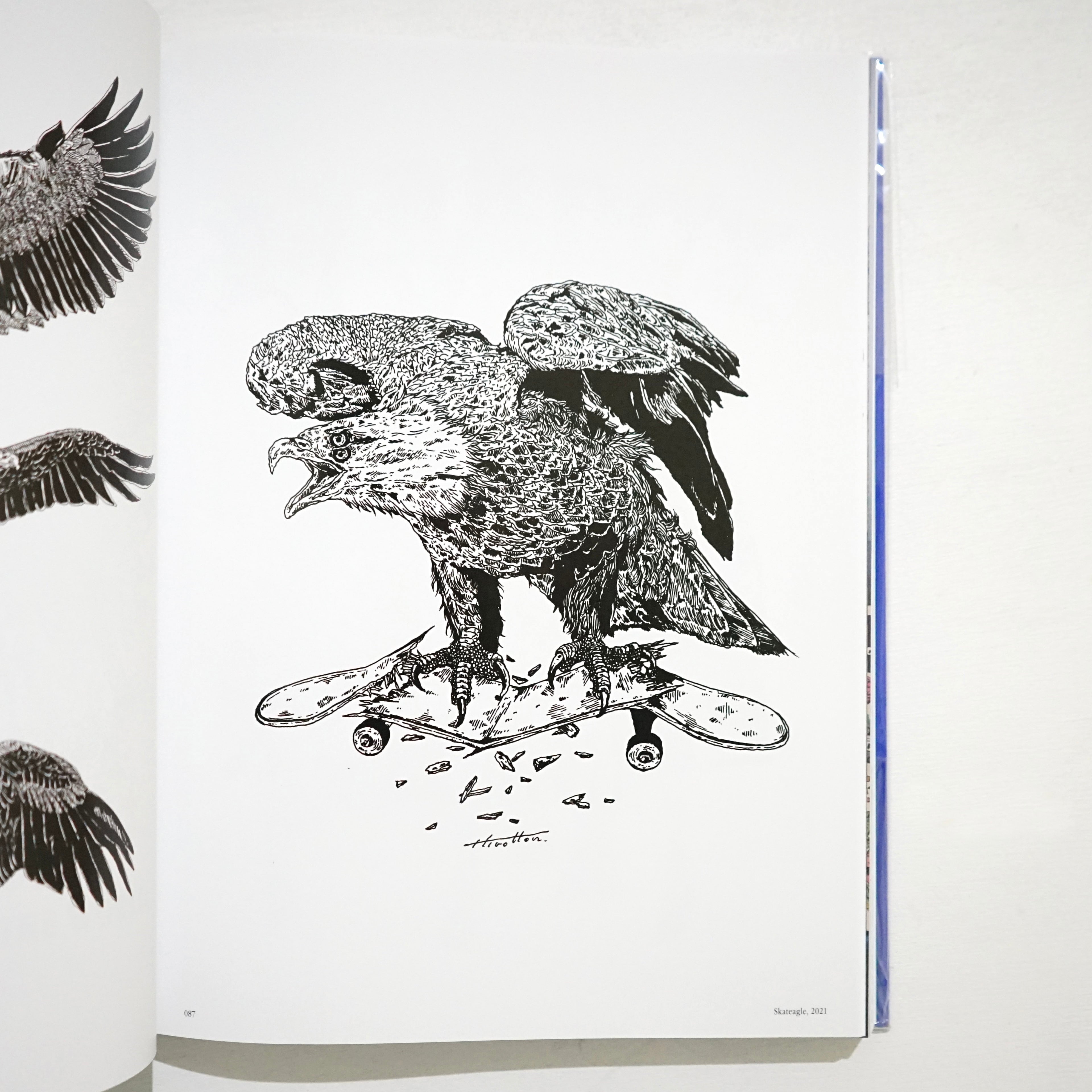 PARADOX - HIROTTON | C7C online shop