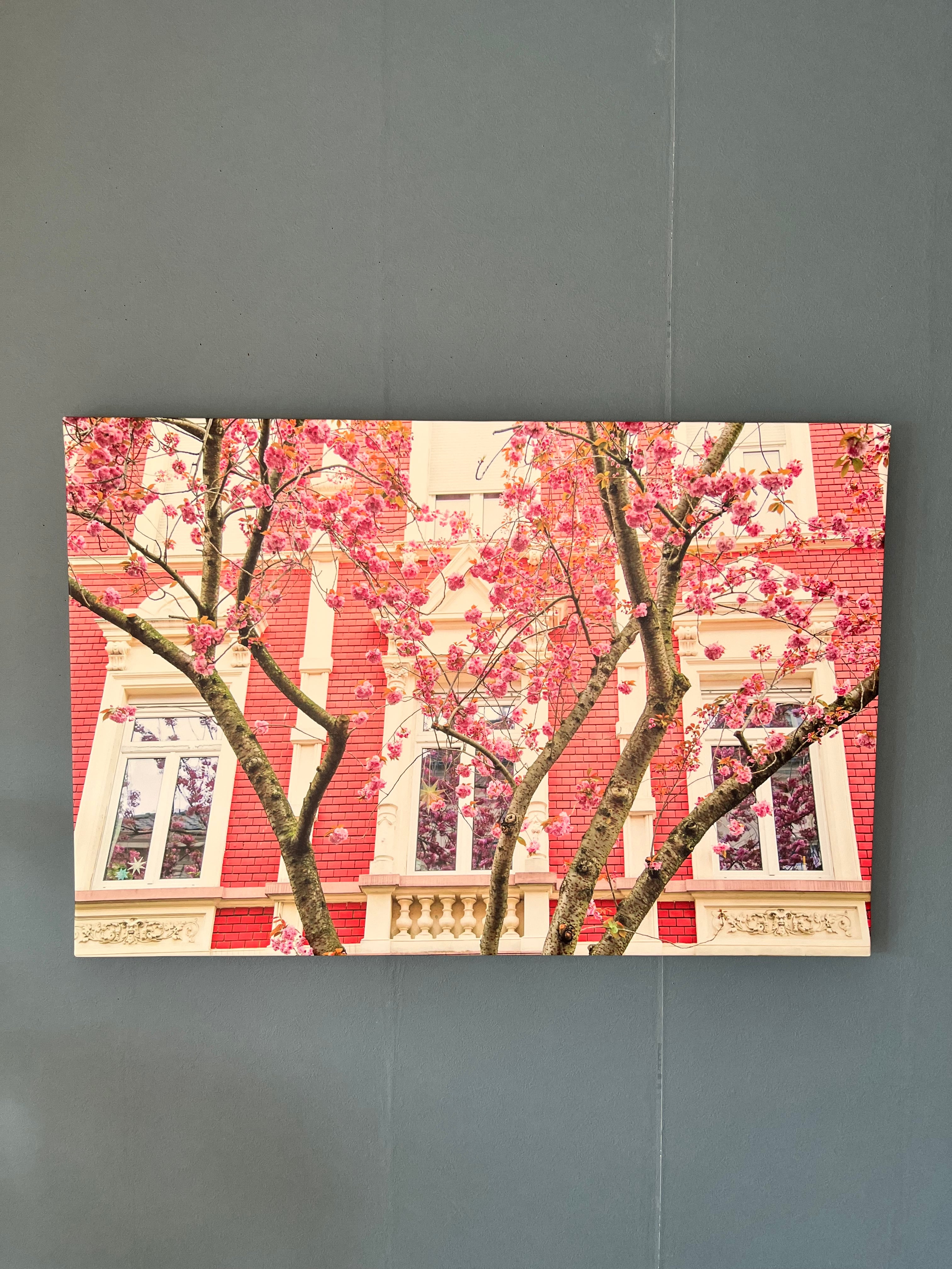 69896844cbda6fe13954880a170e8f