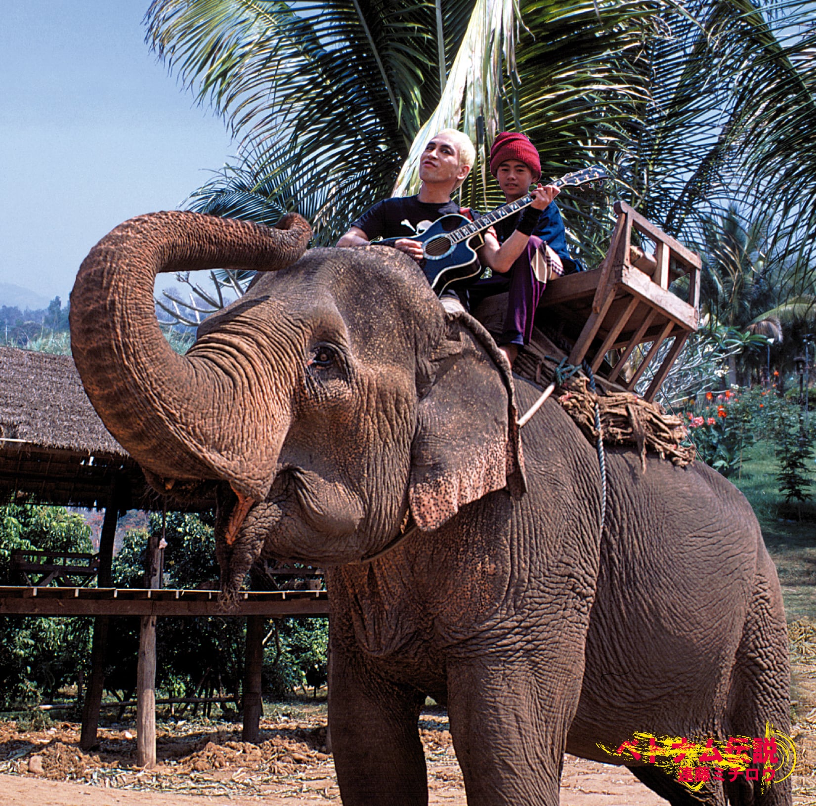 CD】遠藤ミチロウ / ベトナム伝説 | あんぐら市場