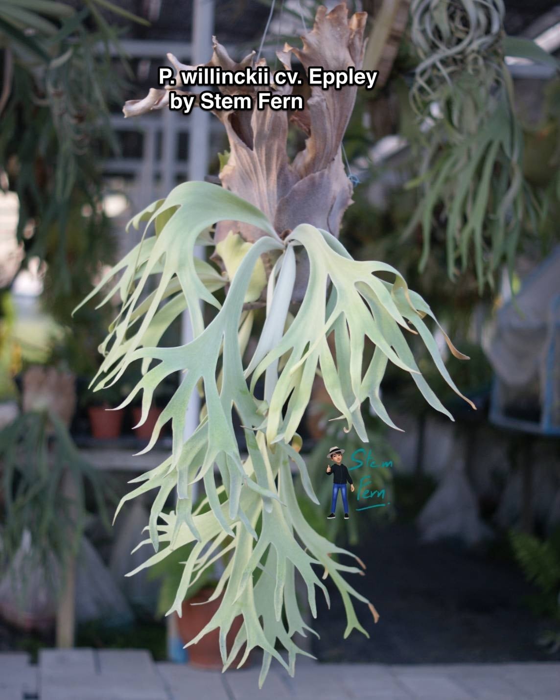 6b67e875fdcd02a5a0f43bc76cf523