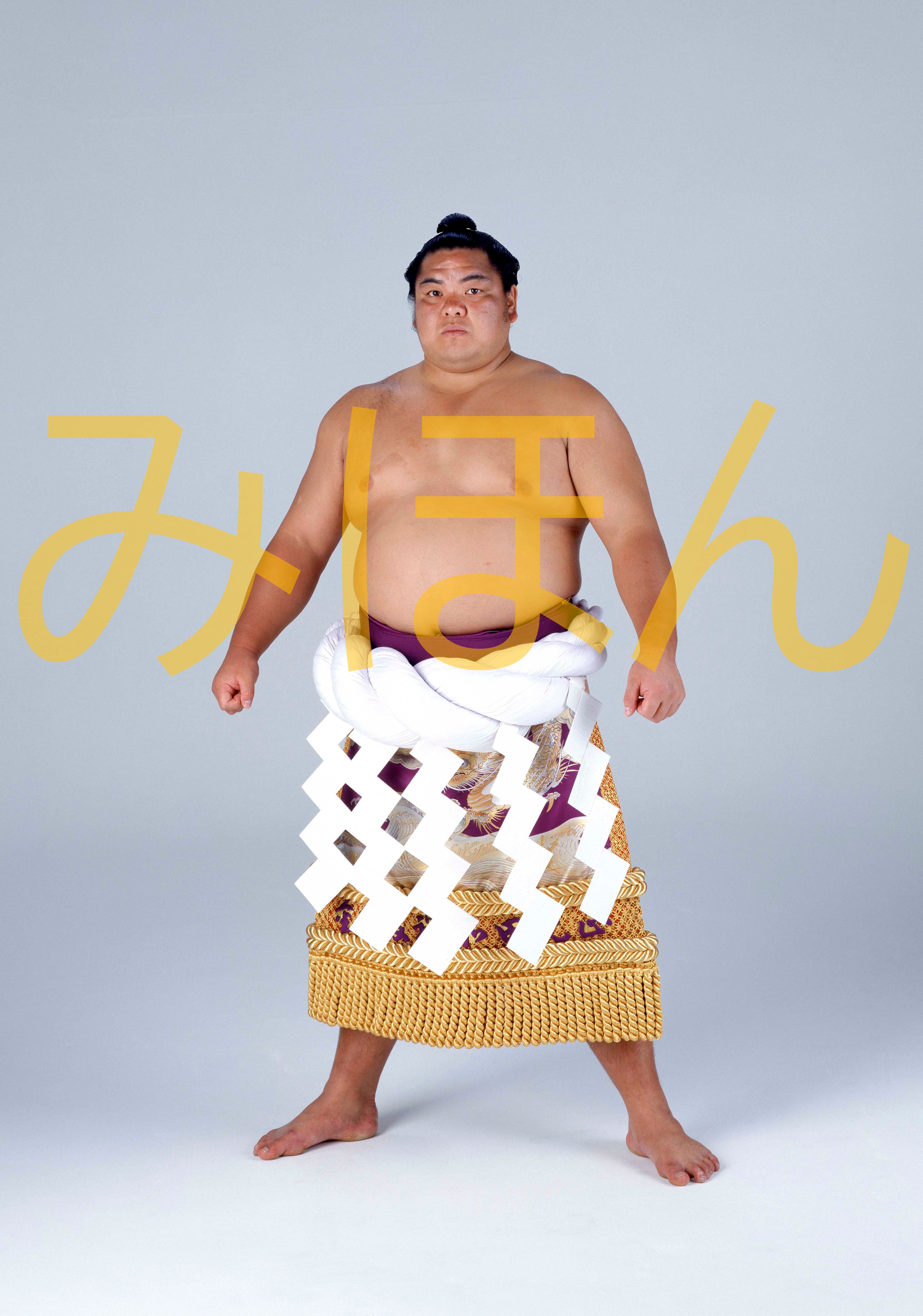 平成元年5月場所優勝 横綱 北勝海信芳関（5回目の優勝） | 大相撲