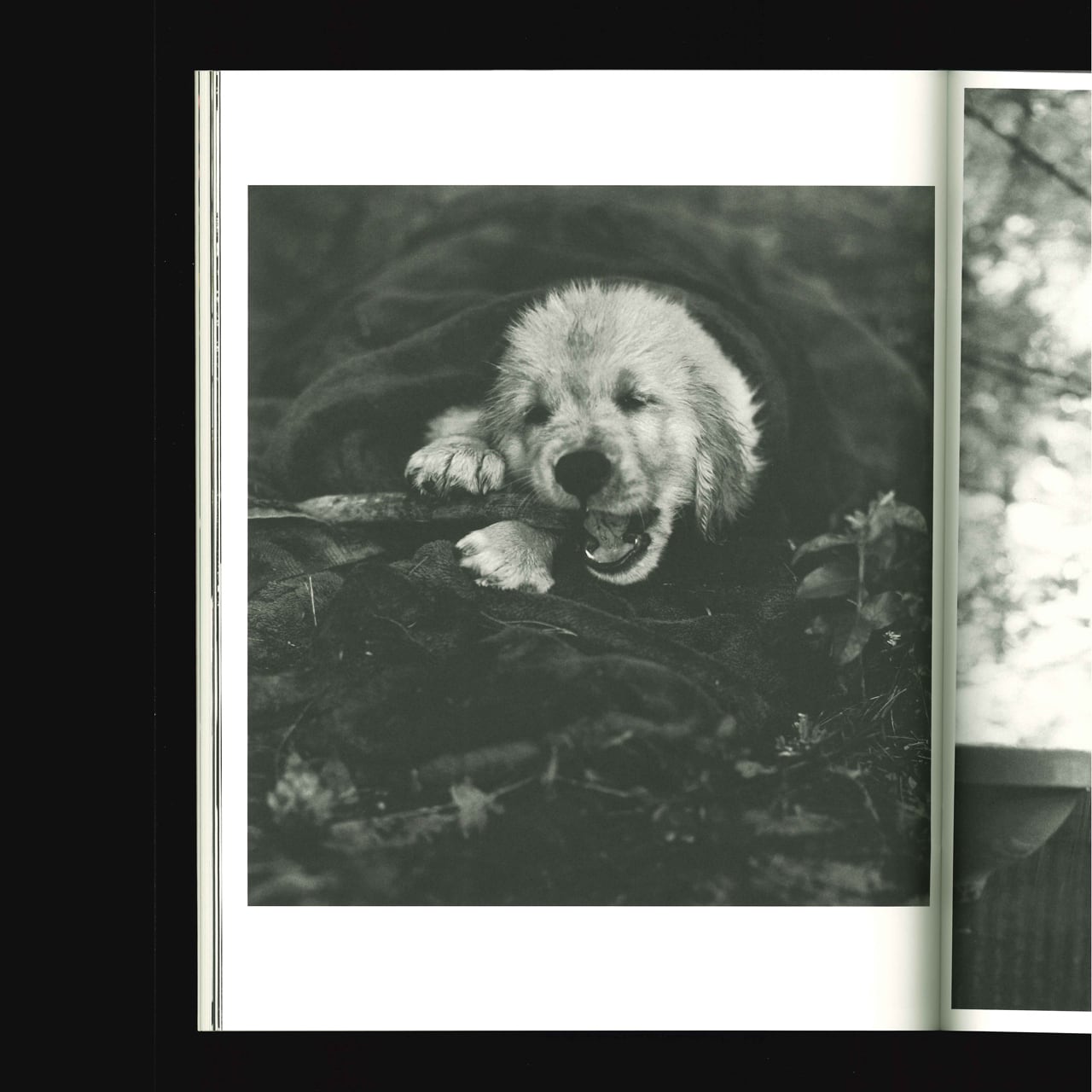 Bruce Weber: ALL-AMERICAN | ON SUNDAYS