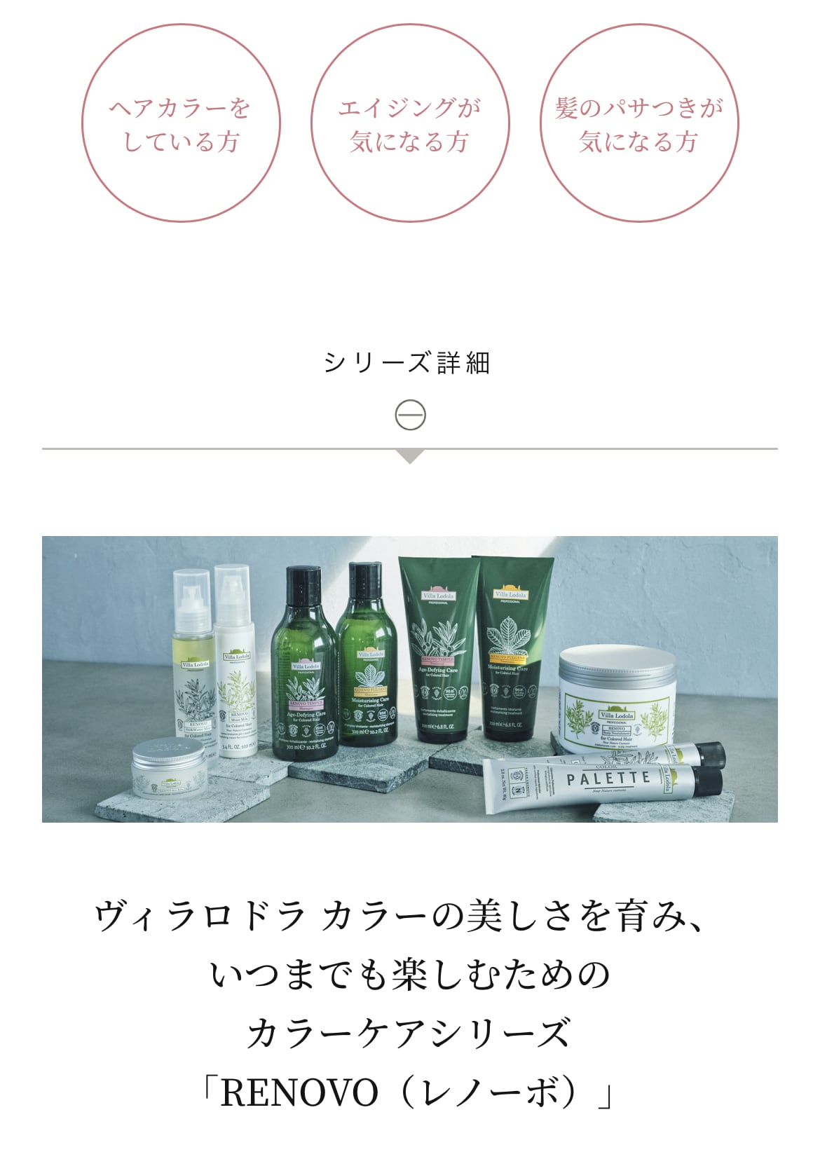 RENOVO TEMPUS】 Shampoo 500mLレノーボ テンプス シャンプー うるおい