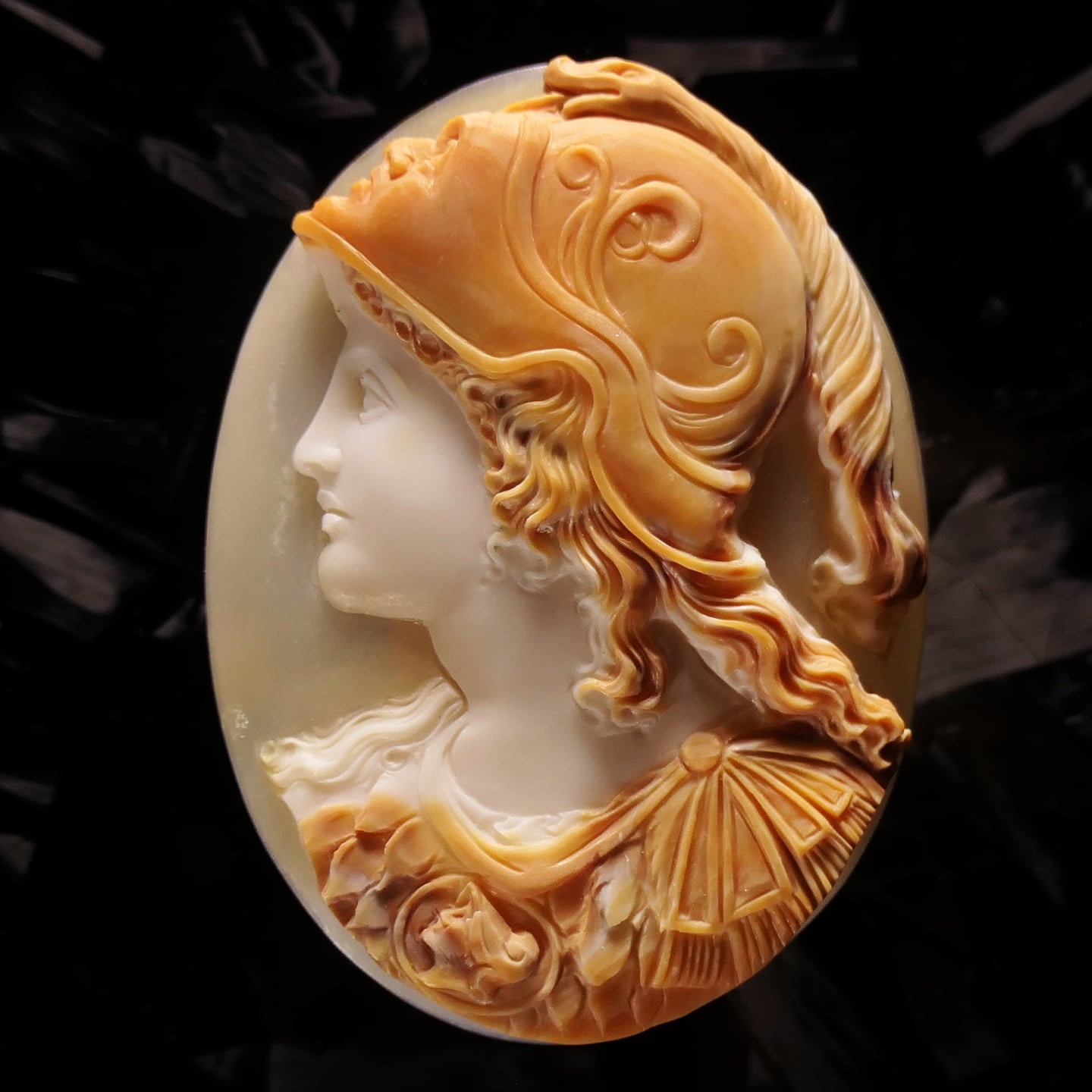 シェルカメオ | Cameo Erynceleblas