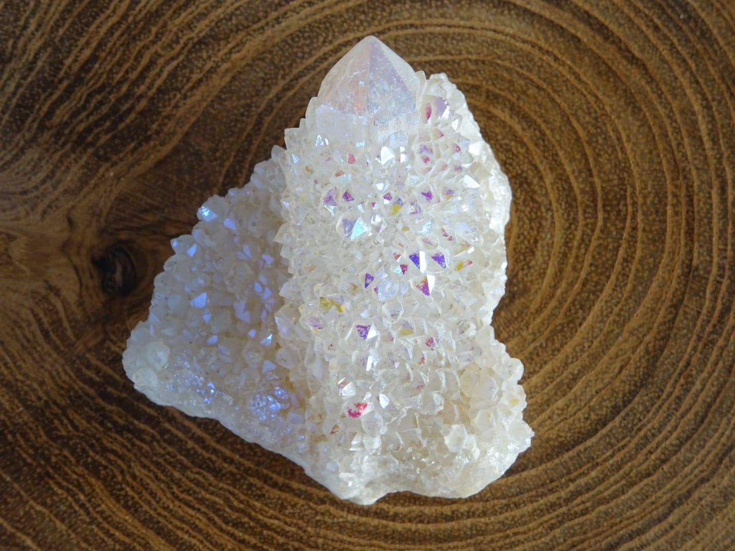 カクタスエンジェルオーラクォーツ | 虹石屋